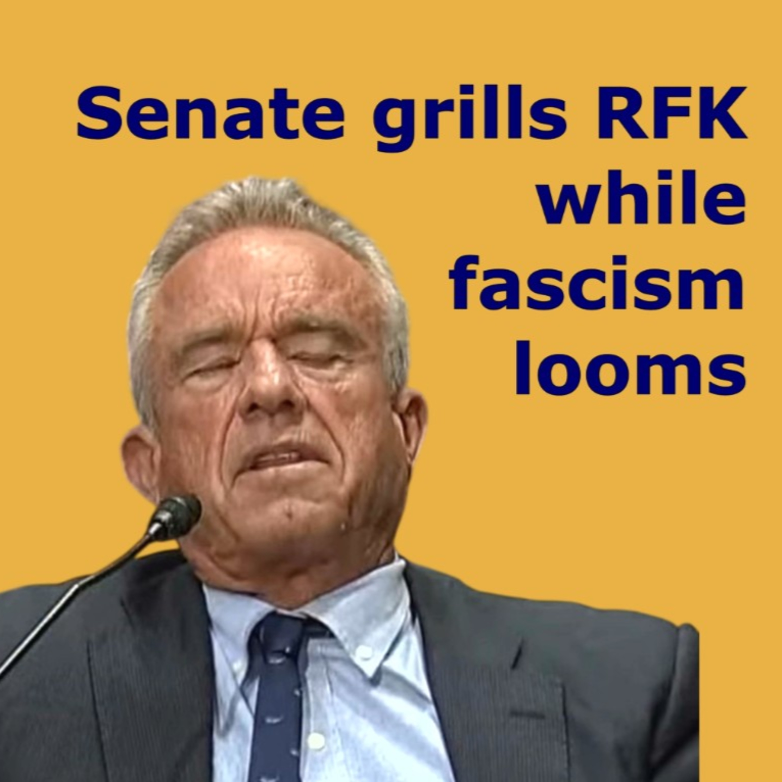 09/04/2025: Senate grills RFK Jr. while fascism looms episode artwork