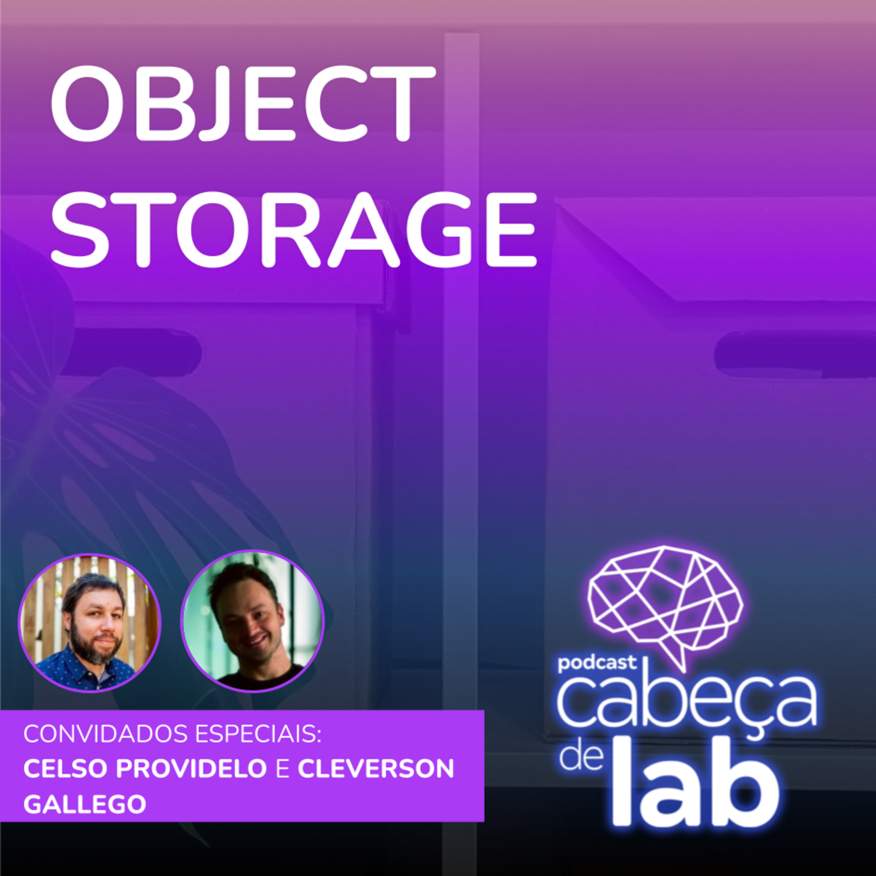Cabeça de Lab