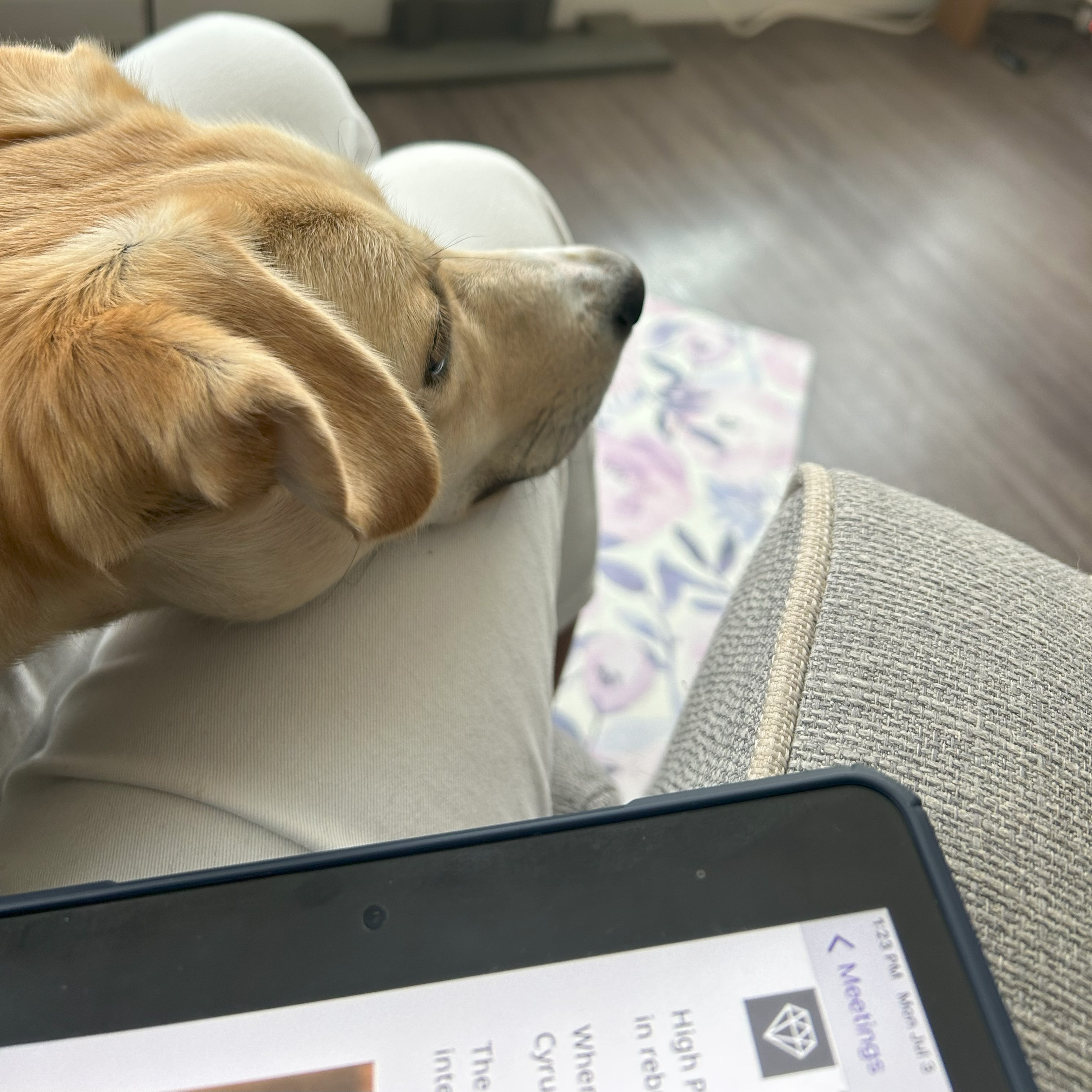 Calming Confectionery | Decompressing through Hobbies