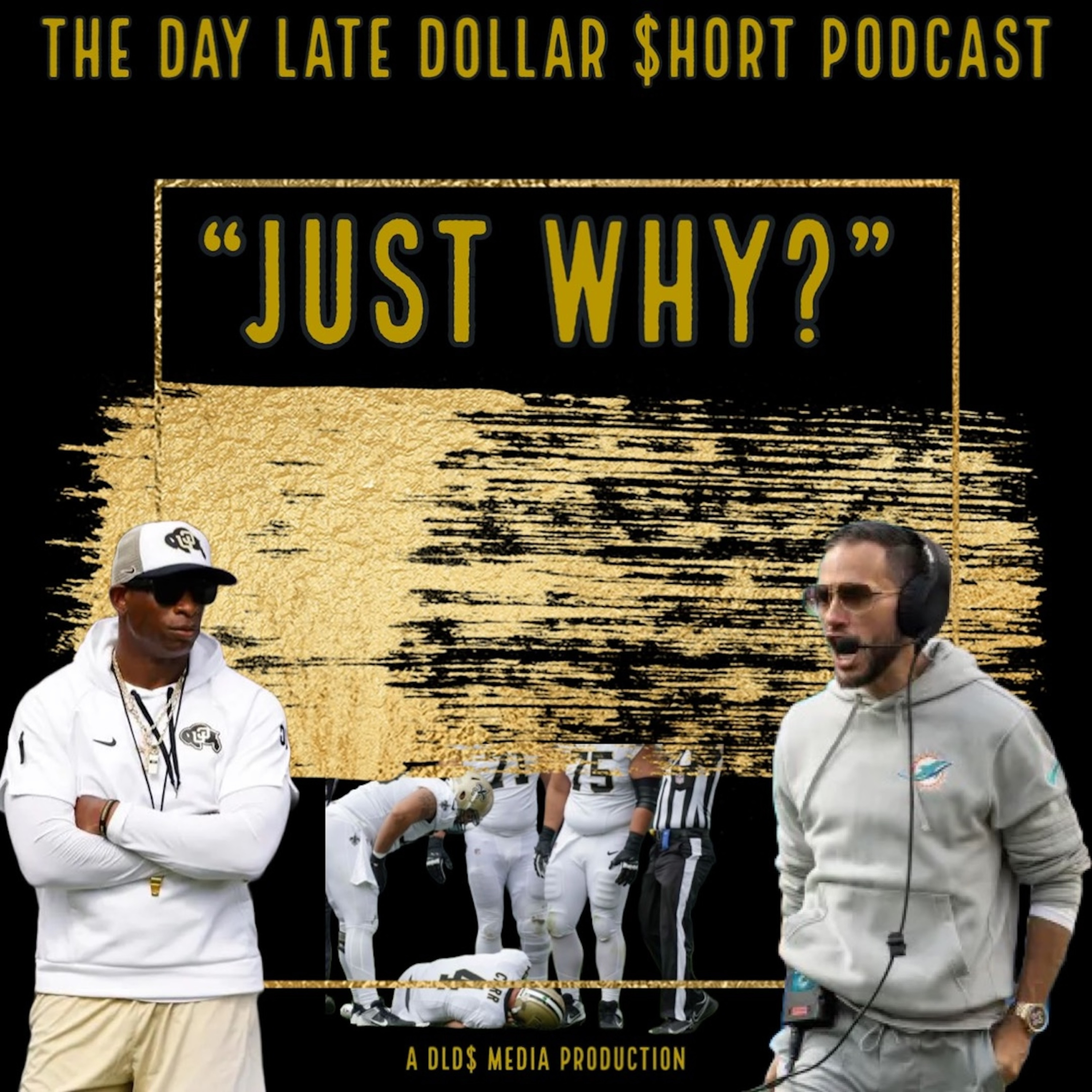 Just Why?  episode artwork
