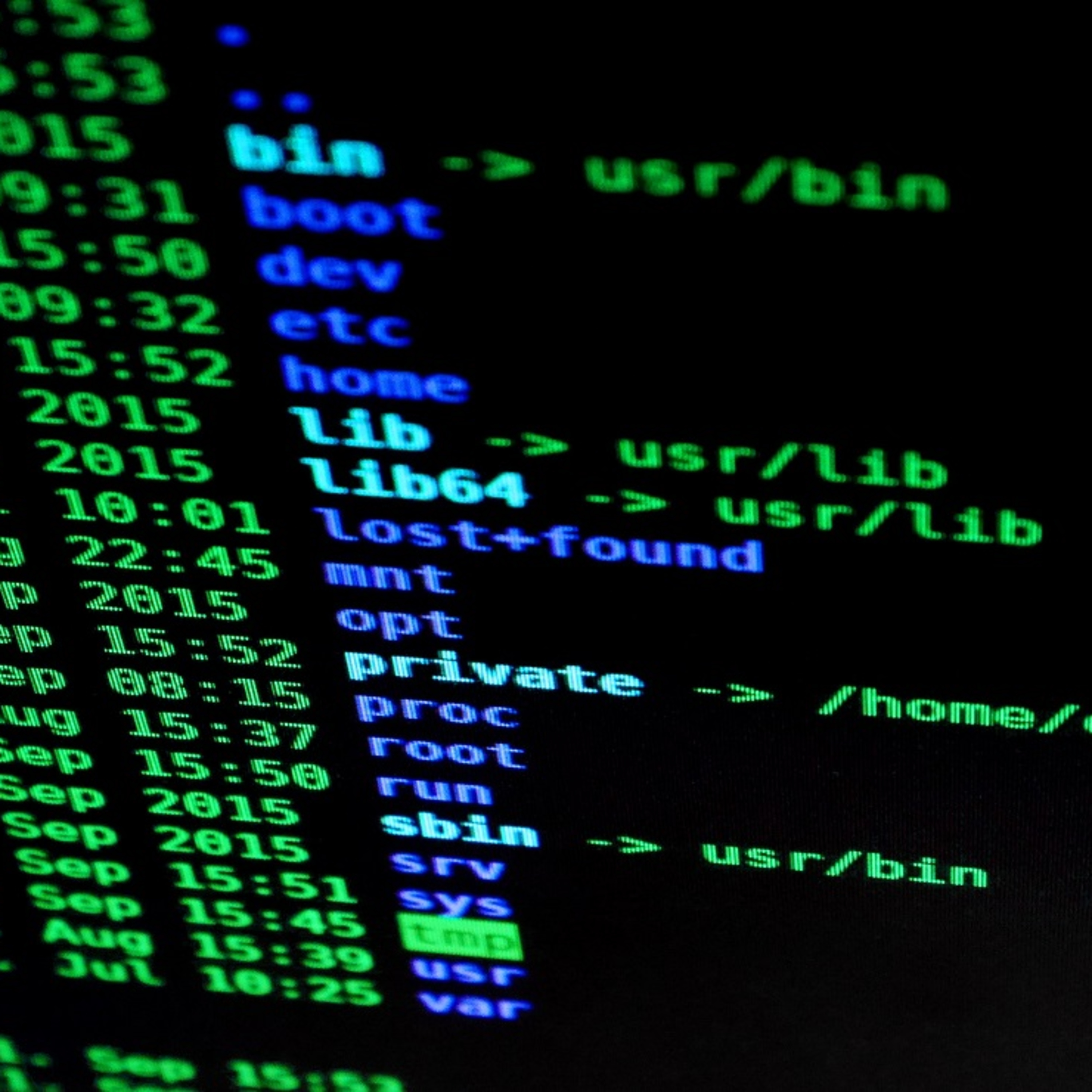 Número 289 - Submundos da internet: Cancelamento e redenção