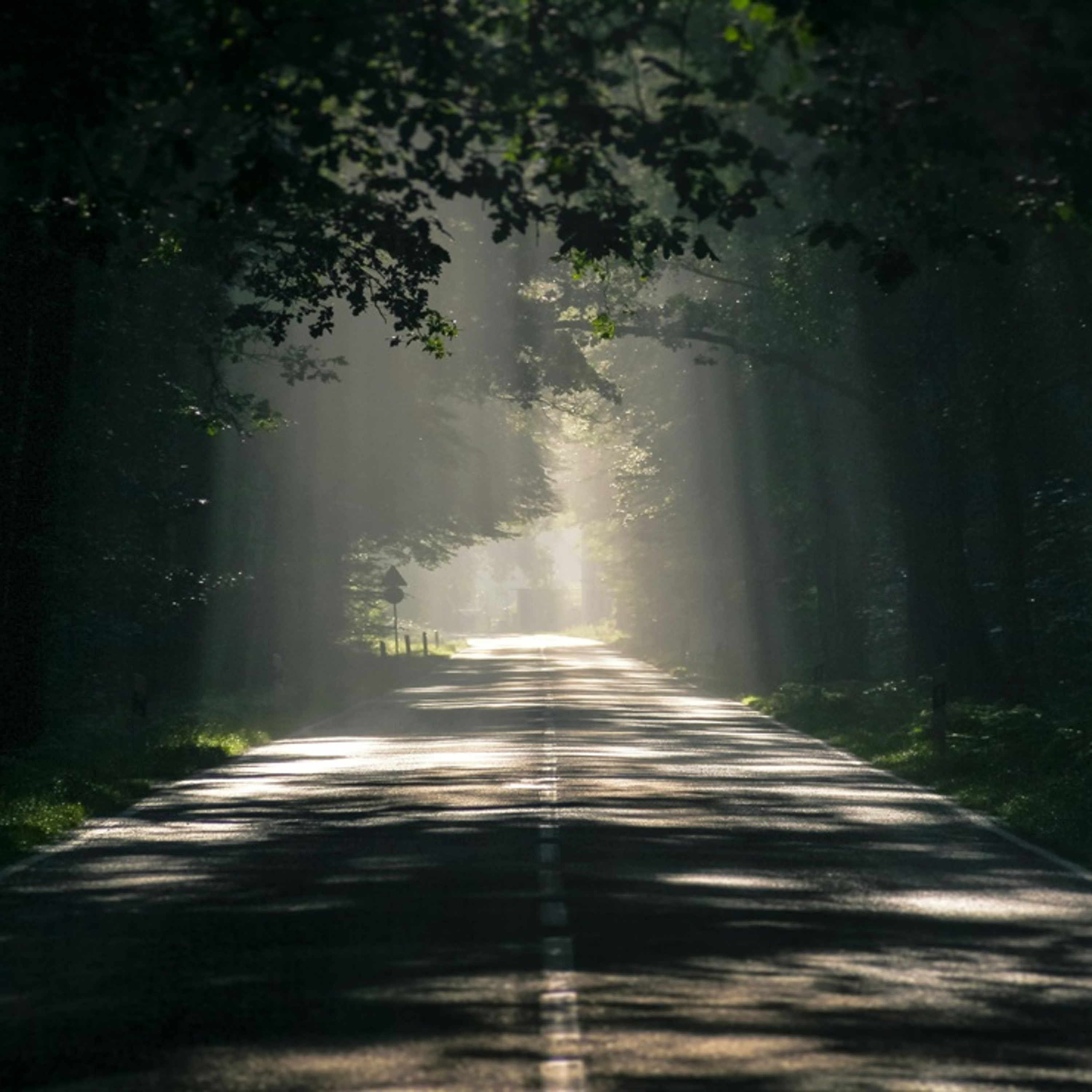 Do estelionato ao SUCESSO - Número 343