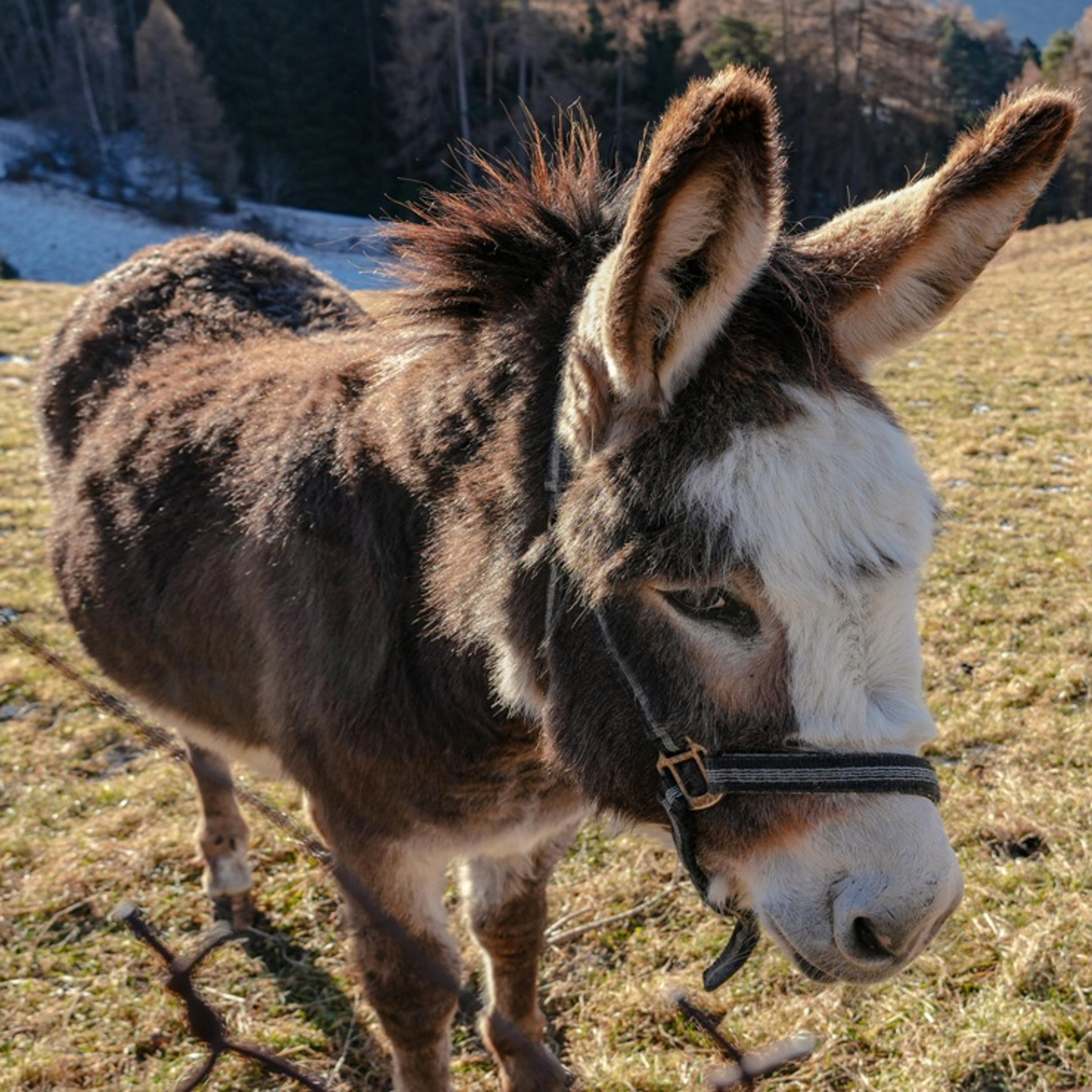 Eu aprendi a me AMAR - Número 345
