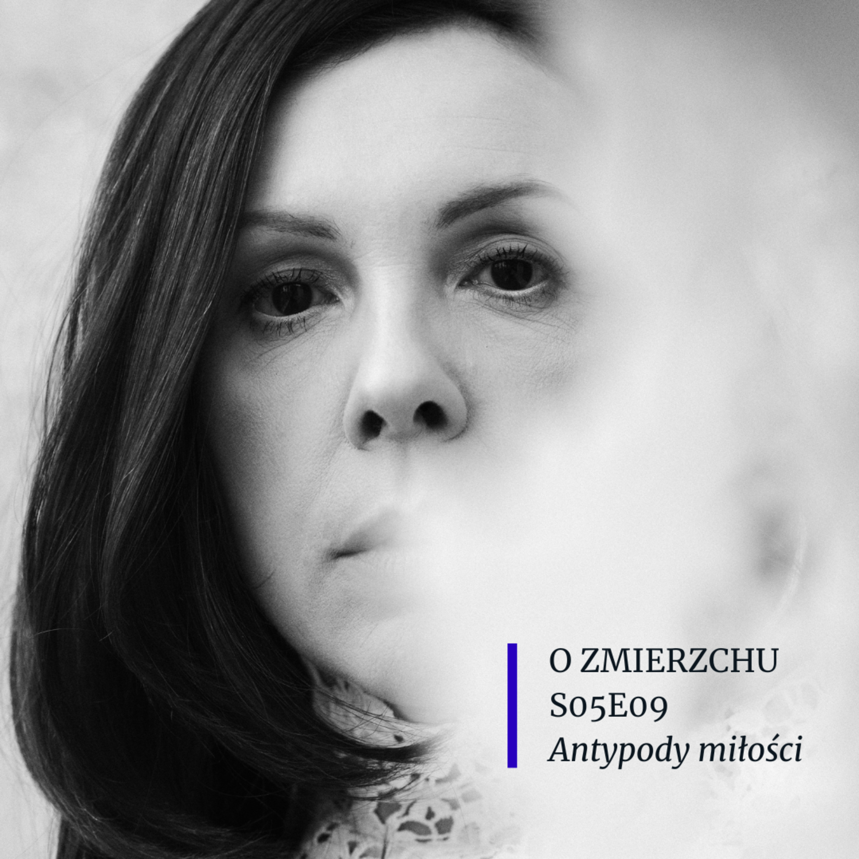 S05E09 Antypody miłości - O Zmierzchu