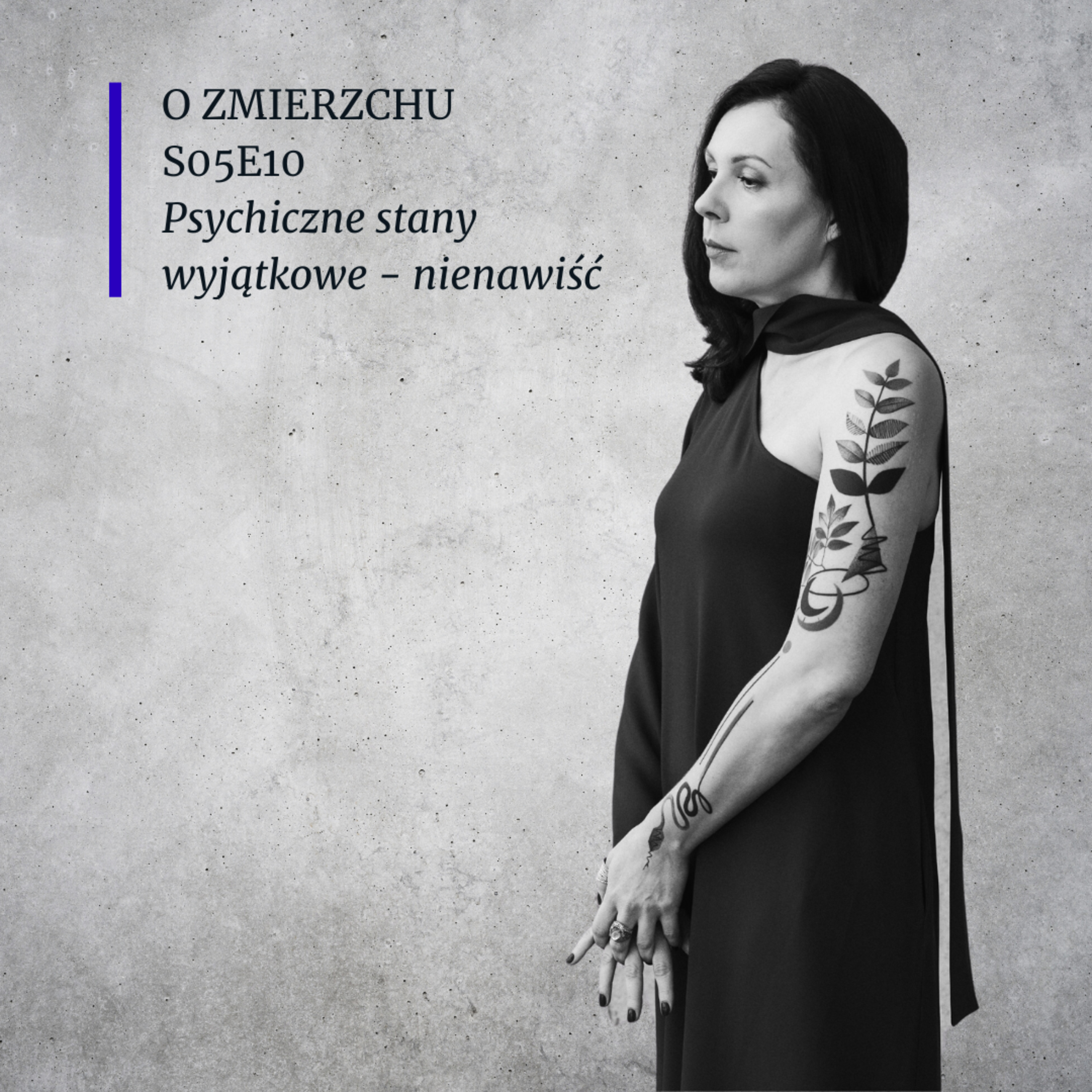 S05E10 Psychiczne stany wyjątkowe - nienawiść - O Zmierzchu