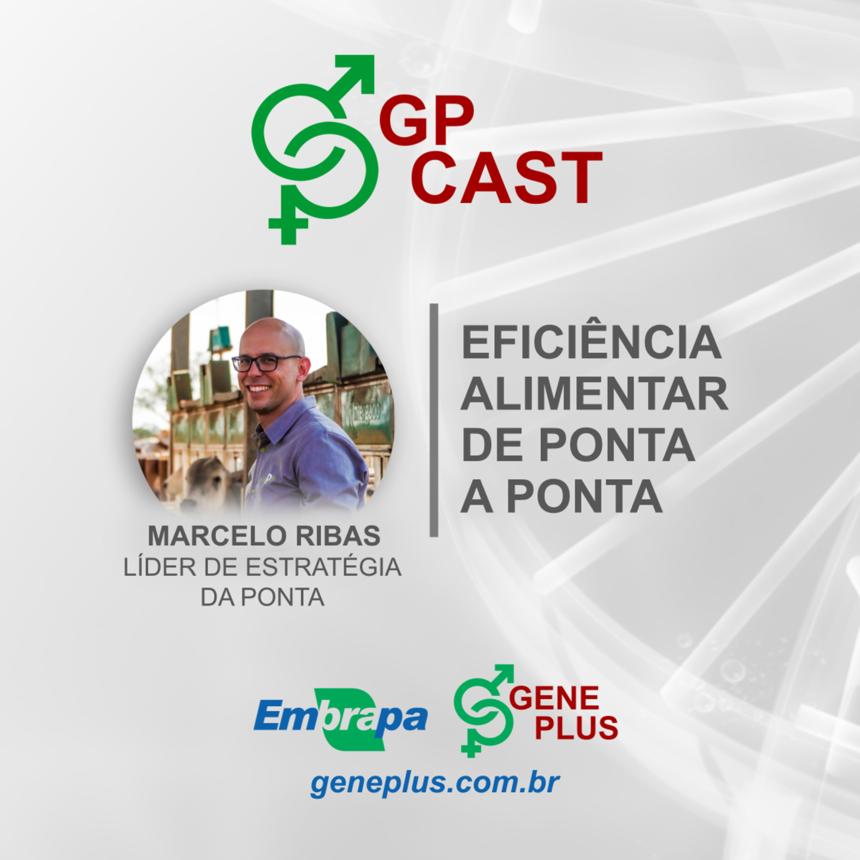 36. Eficiência alimentar de ponta a ponta  episode artwork