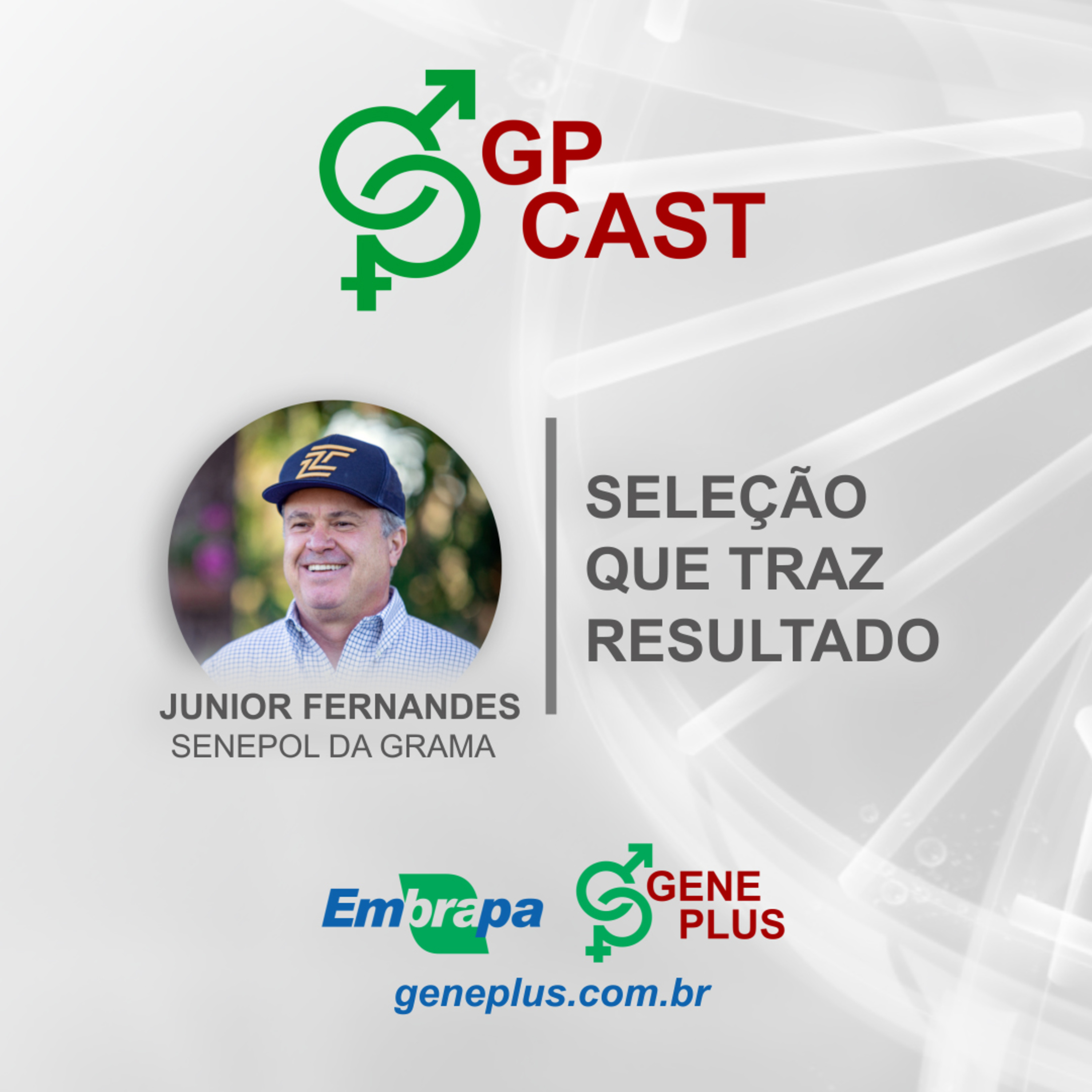 37. Seleção que traz resultado episode artwork