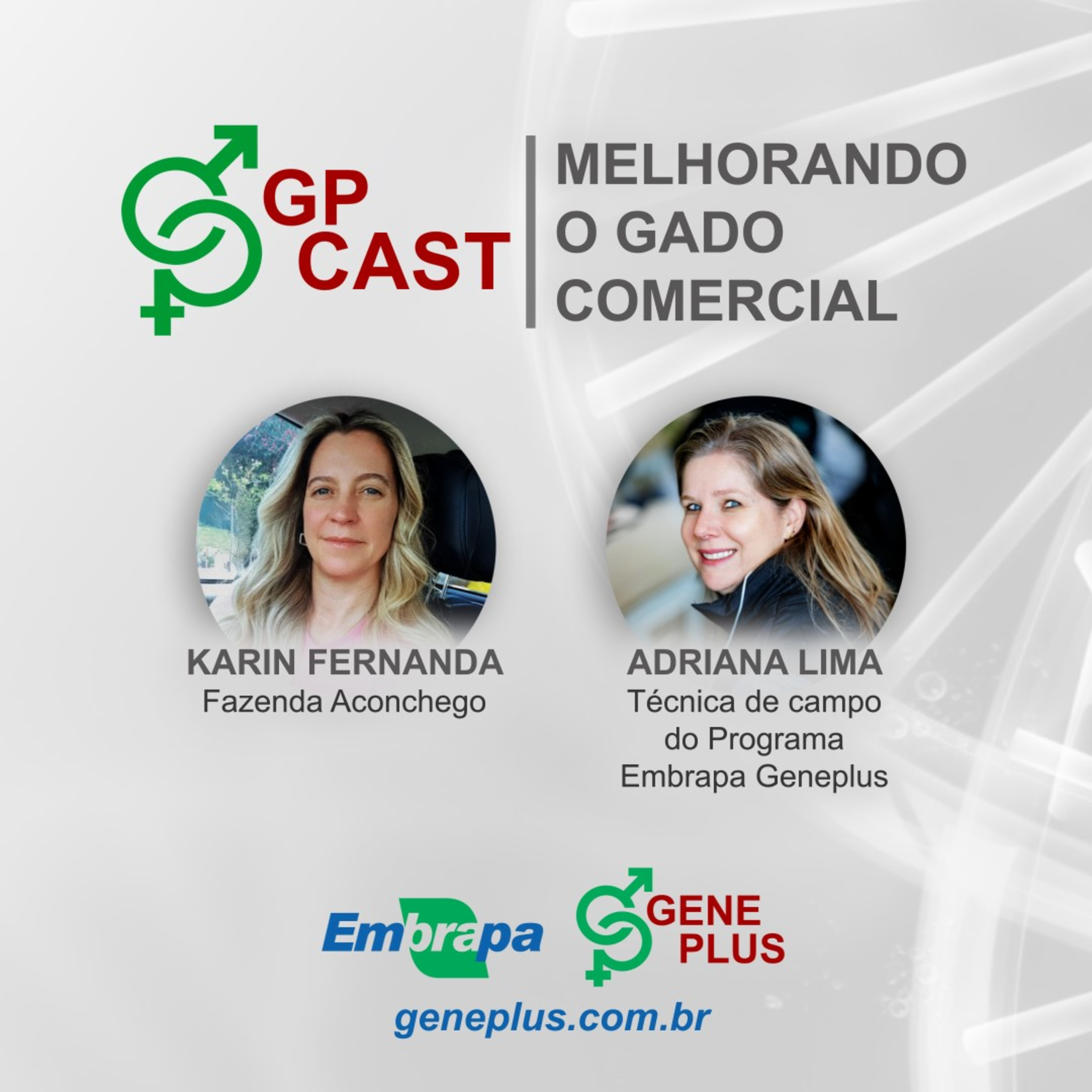 47. Melhorando o gado comercial episode artwork