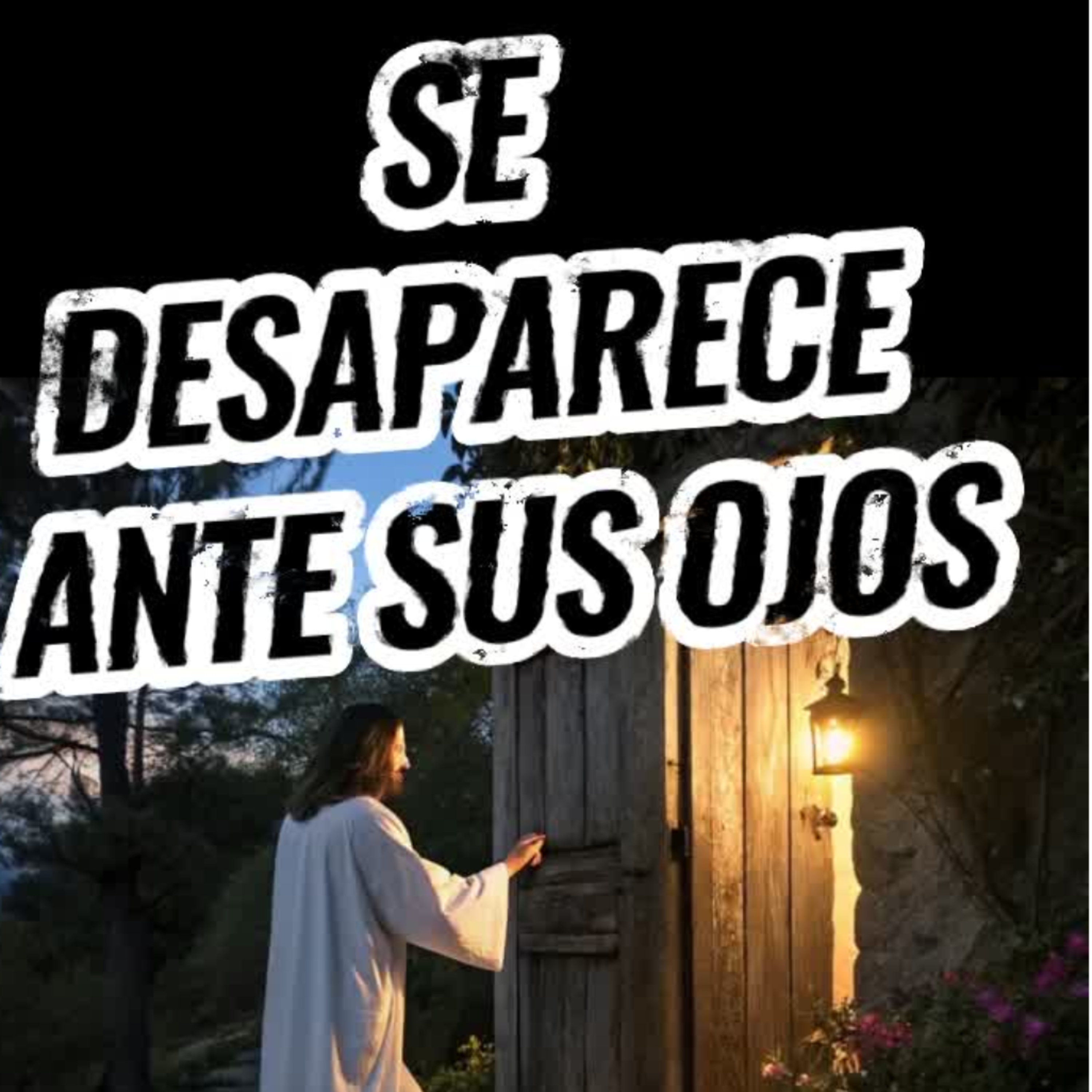 👤SE DESAPARECE ANTE SUS OJOS 👀⭐SIGUE LA SERIE en YouTube/ NoeLopezOficial #desaparicion episode artwork