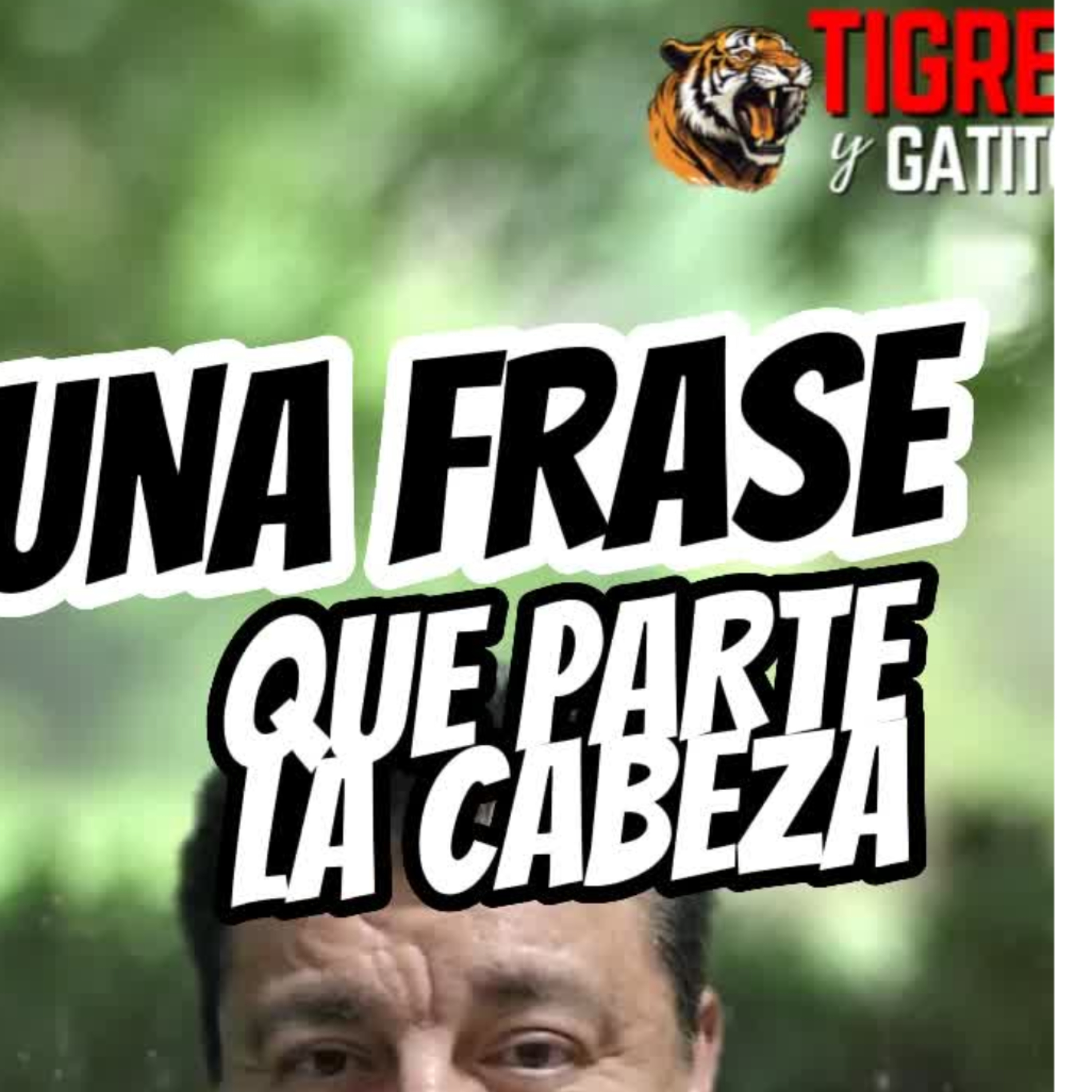 🐯UNA FRASE QUE PARTE LA CABEZA EN DOS😨 Conocela!⭐Sigue La Serie en YouTube/ NoeLopezOficial #frase episode artwork