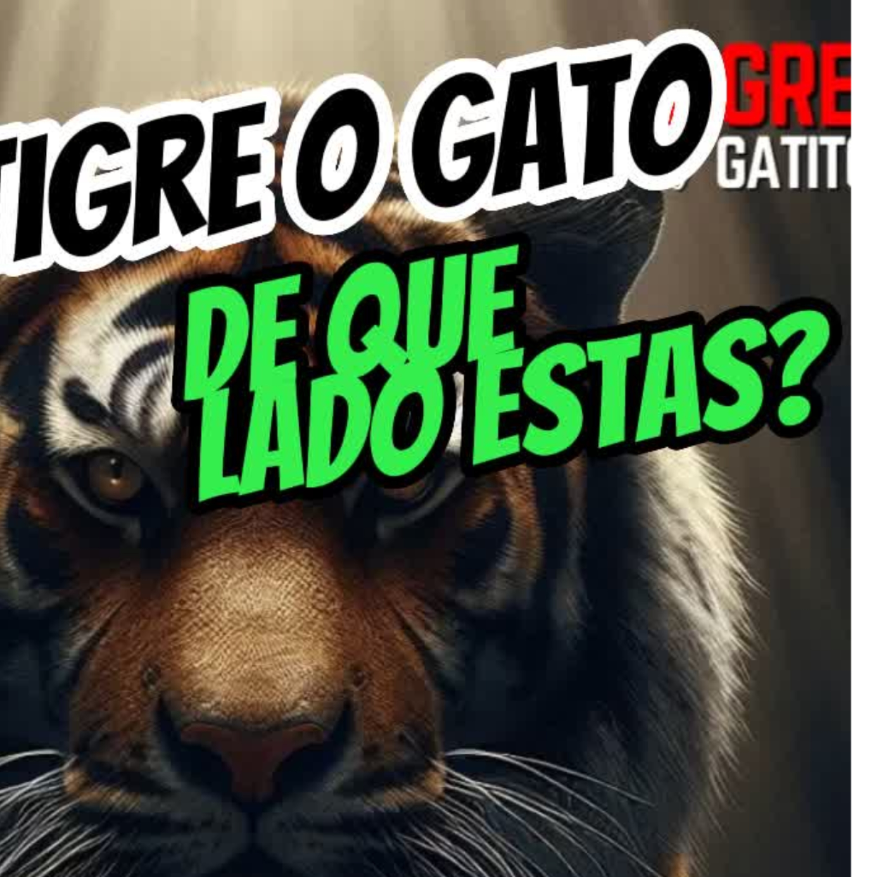 🐯TIGRE O GATO, DE QUE LADO ESTAS?🐱⭐Sigue La Serie en YouTube/ NoeLopezOficial #tigres episode artwork