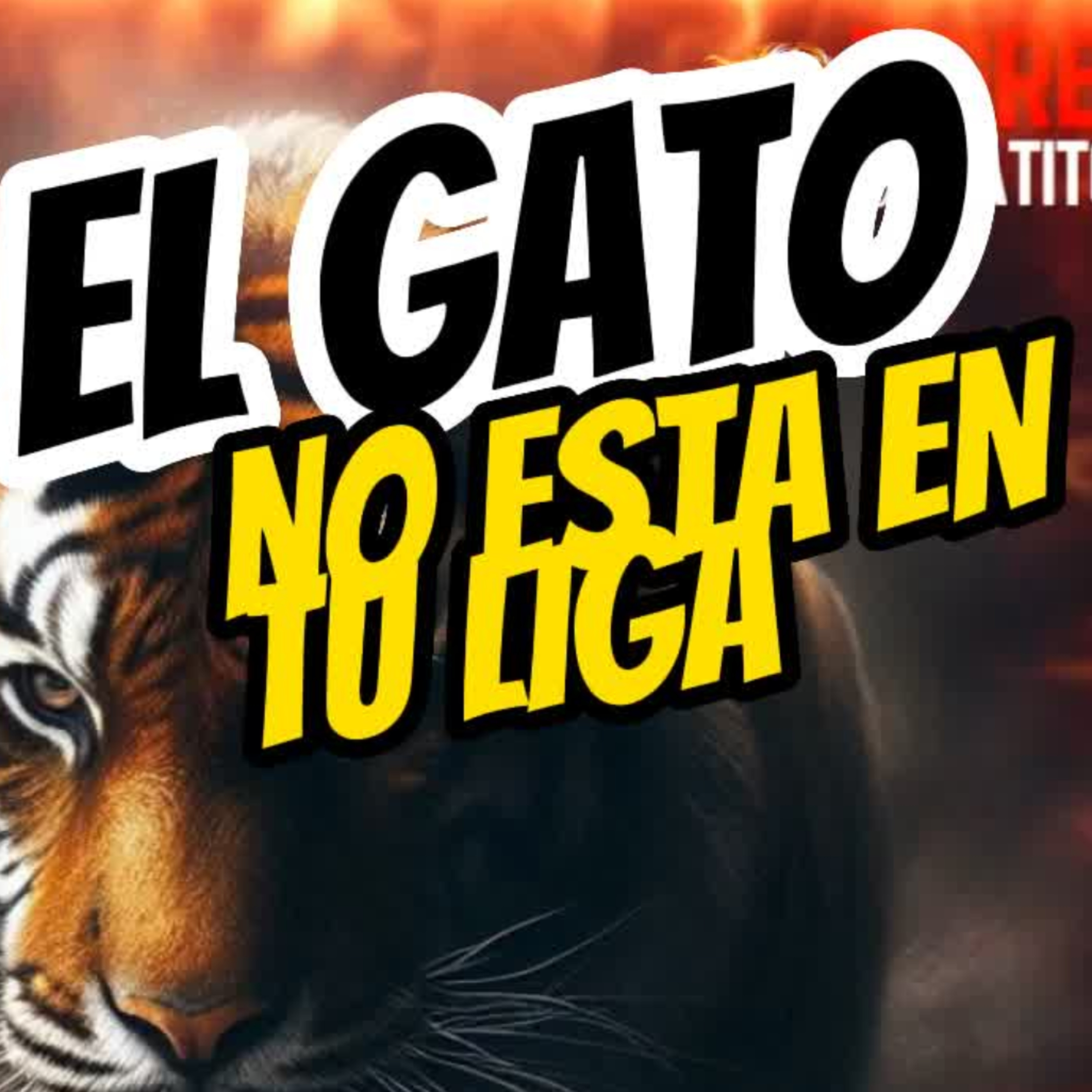 🐯EL GATO NO ESTA EN TU LIGA🐱No Te Rebajes!⭐Sigue La Serie en YouTube/ NoeLopezOficial #gatos episode artwork