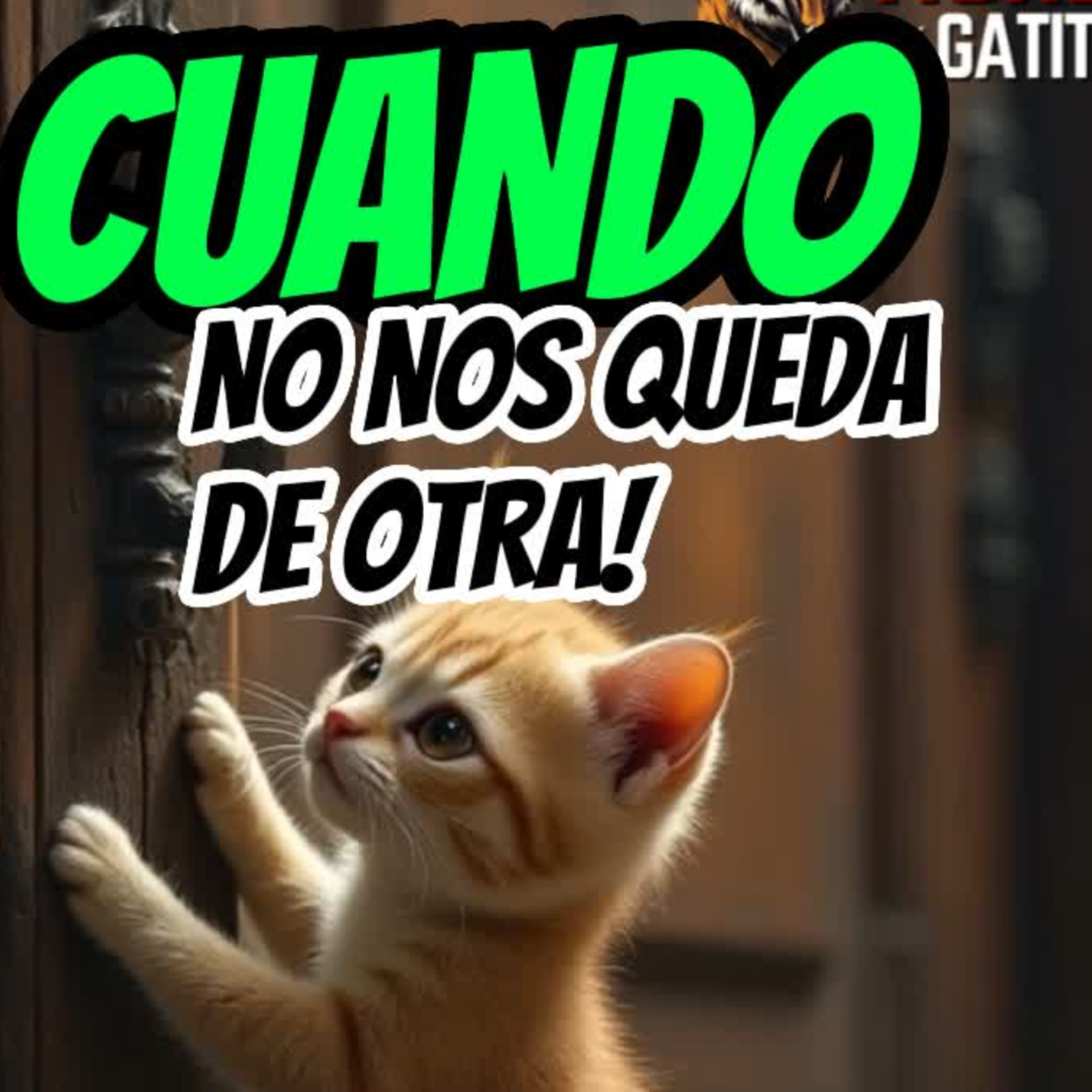 🐯CUANDO NO NOS QUEDA DE OTRA🐱en México🇲🇽⭐Sigue La Serie en YouTube/ NoeLopezOficial #mexico episode artwork
