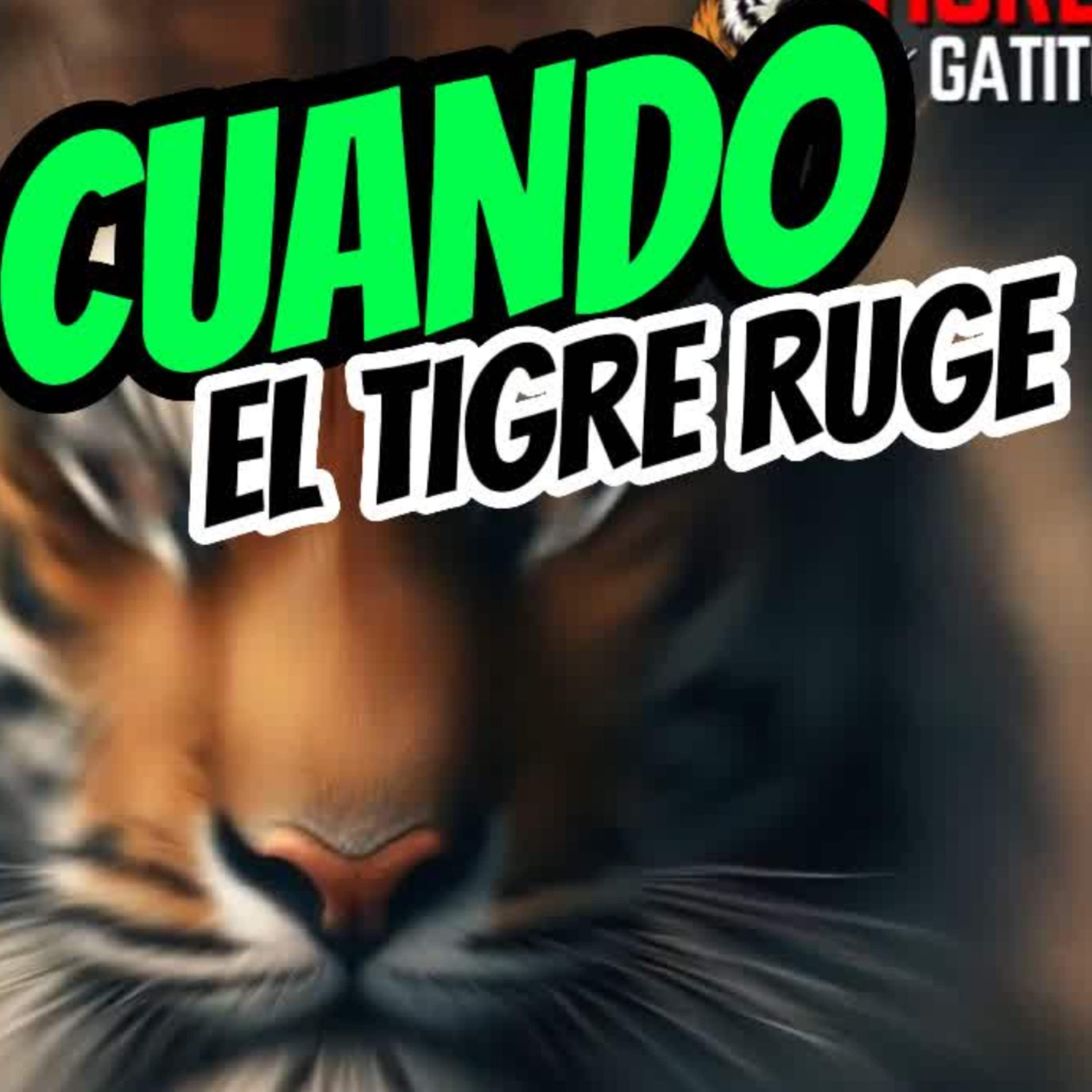 🐯CUANDO EL TIGRE RUGE🐱Que Sucede?🇺🇸⭐Sigue La Serie en YouTube/ NoeLopezOficial #usa episode artwork