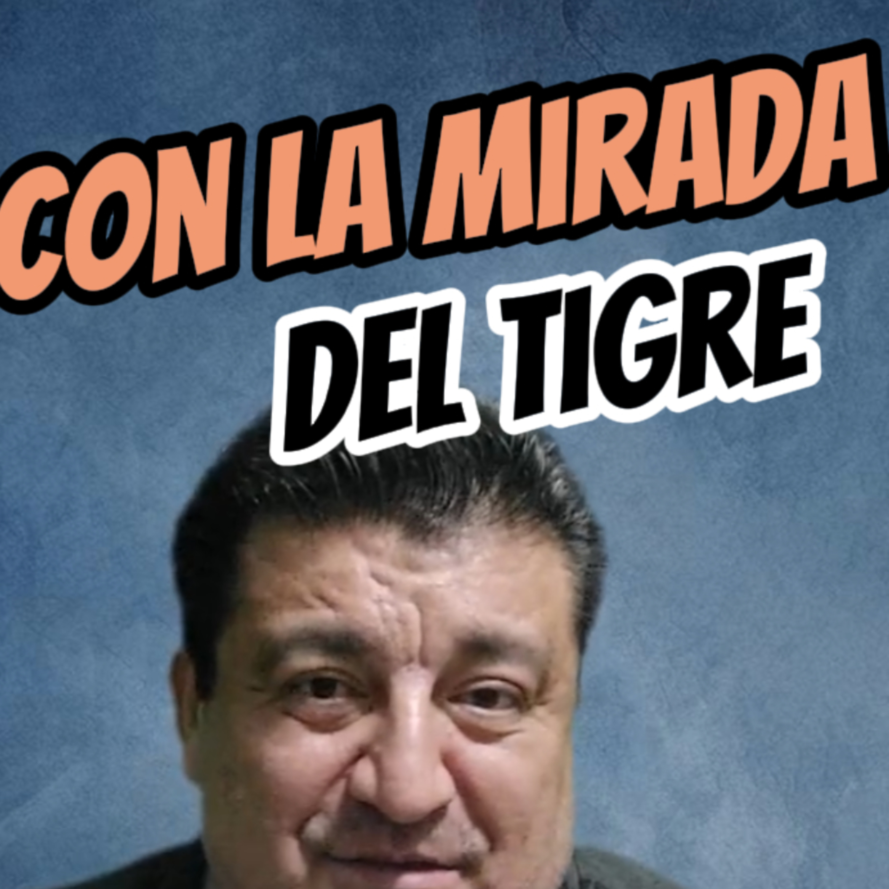 🐯CON LA MIRADA DEL TIGRE🐱Nos Vigilan⭐Sigue La Serie en YouTube/ NoeLopezOficial #vigilancia episode artwork