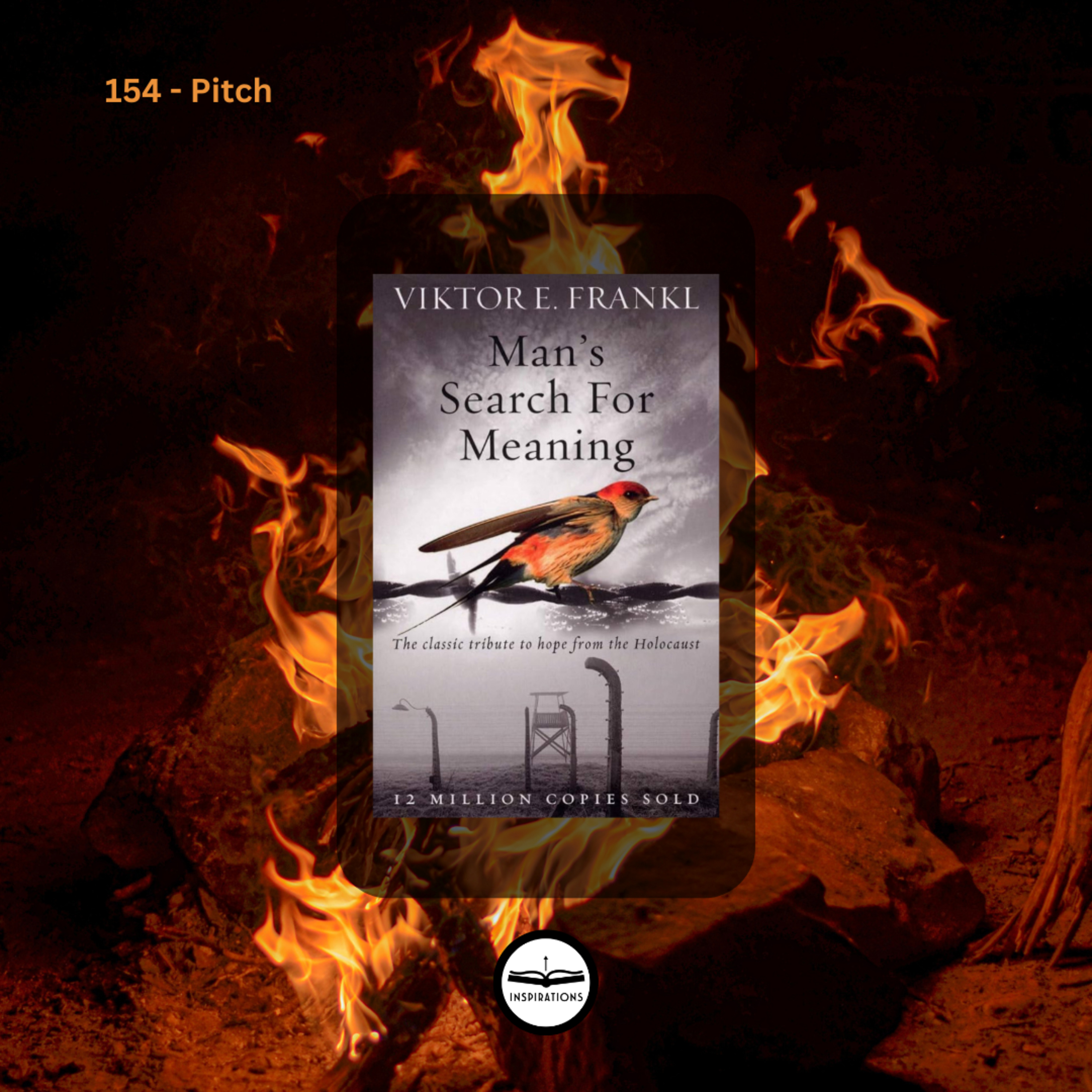 Pitch: Découvrir un sens à sa vie dans l'adversité (Man's search for meaning, Viktor Frankl)