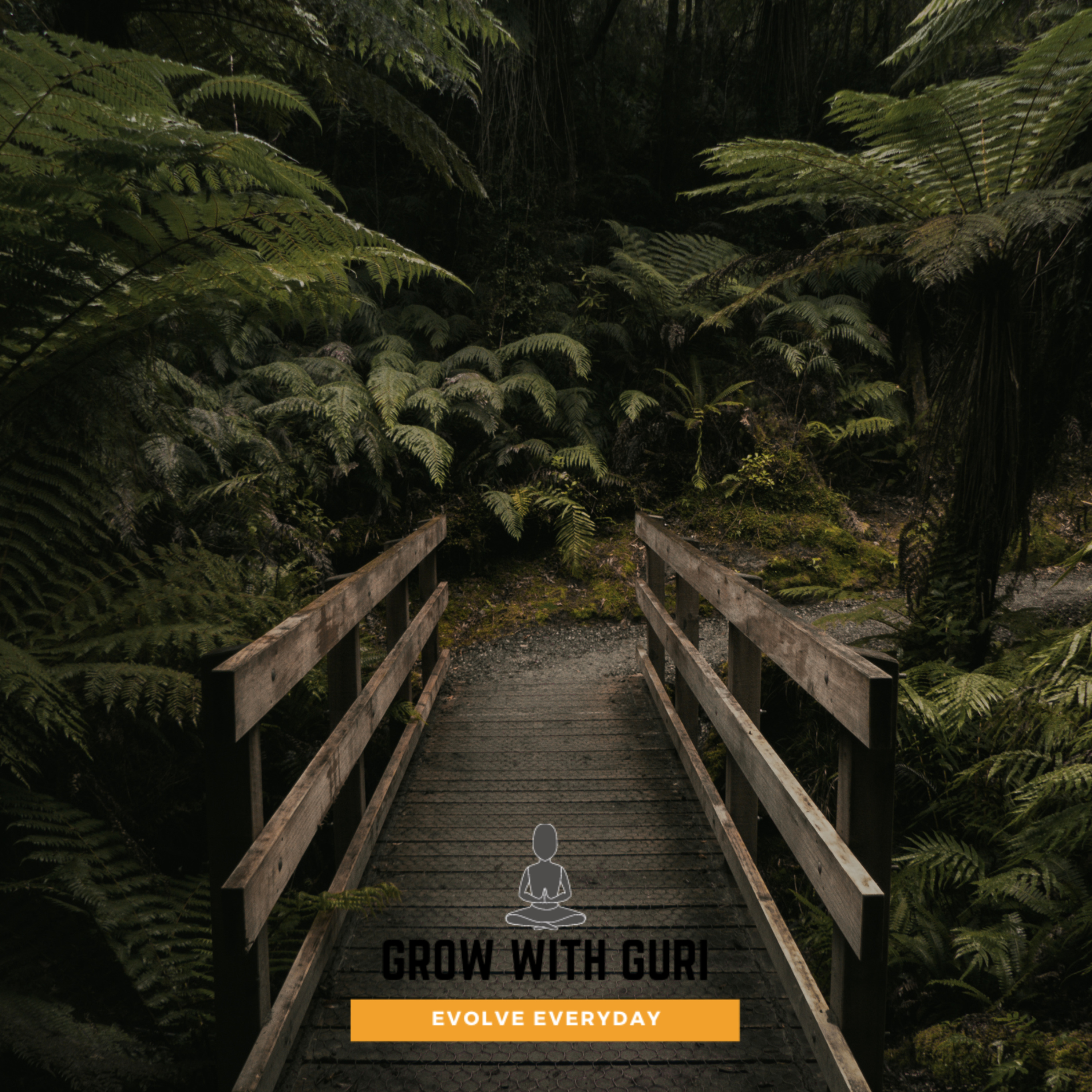 Forest of Dreams - Sleep Meditation episode artwork