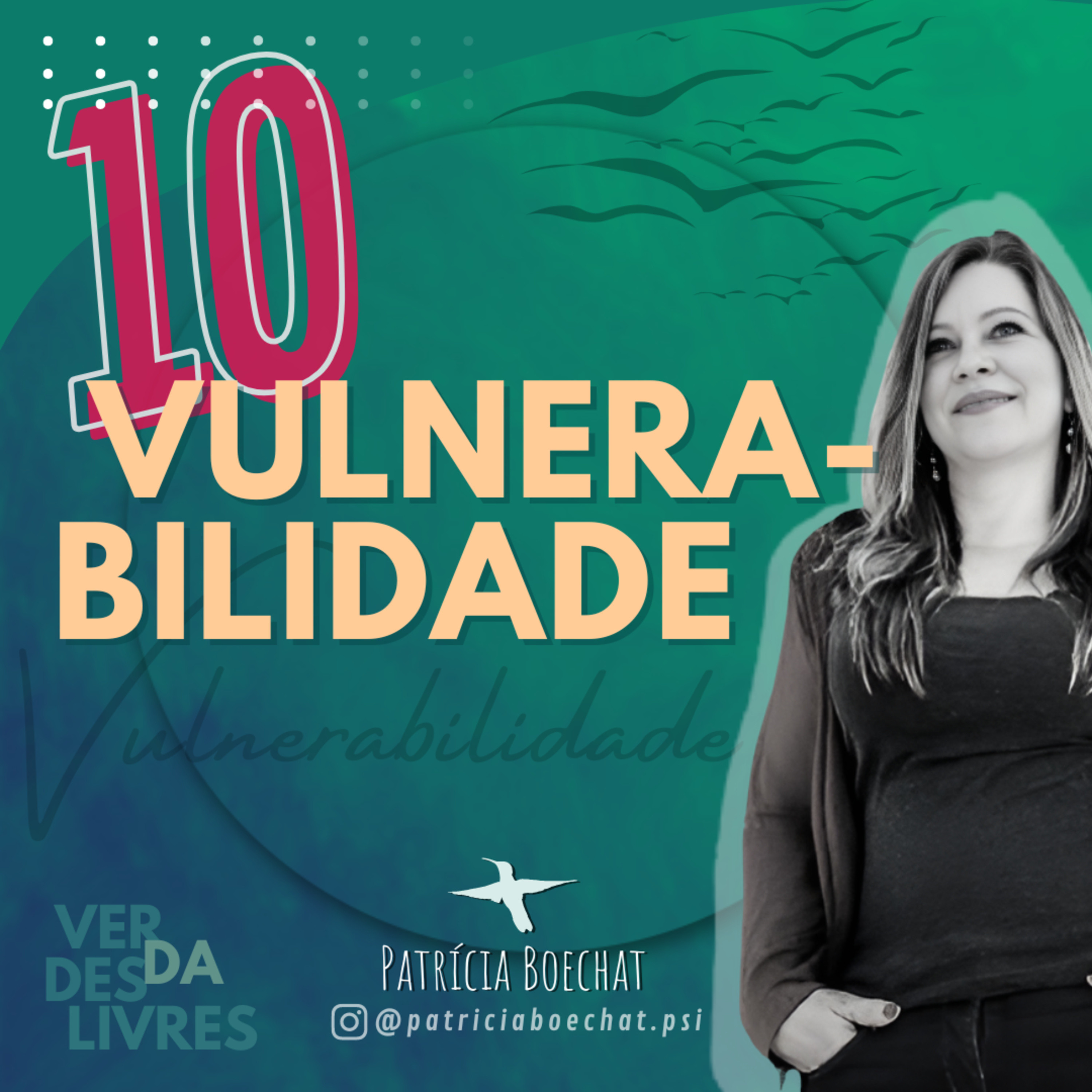 A Vulnerabilidade episode artwork
