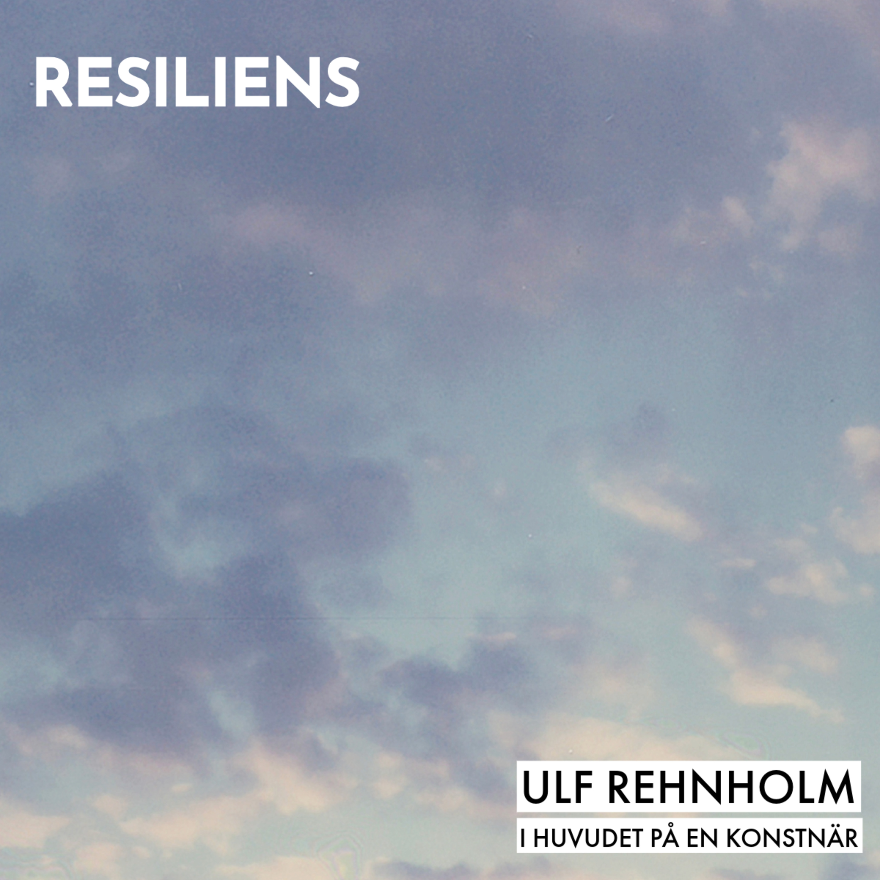 Ulf Rehnholm - I huvudet på en konstnär