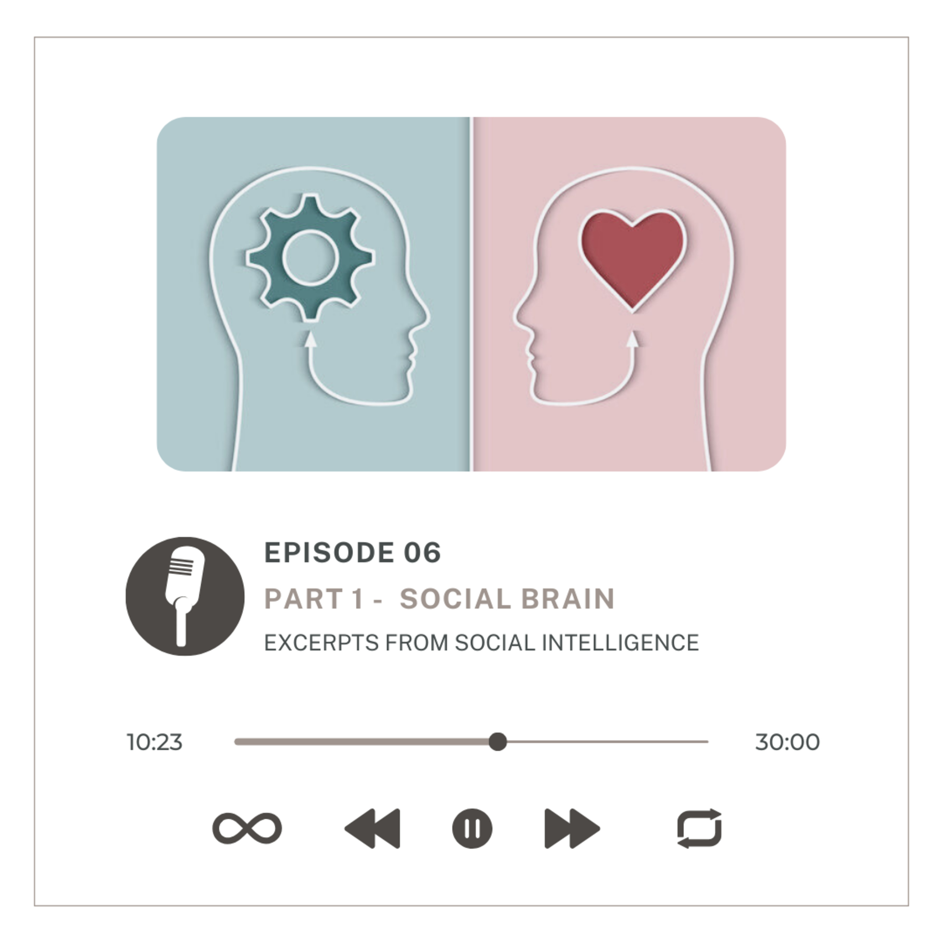 Social Intelligence Episode Part 1 - Social Brain
