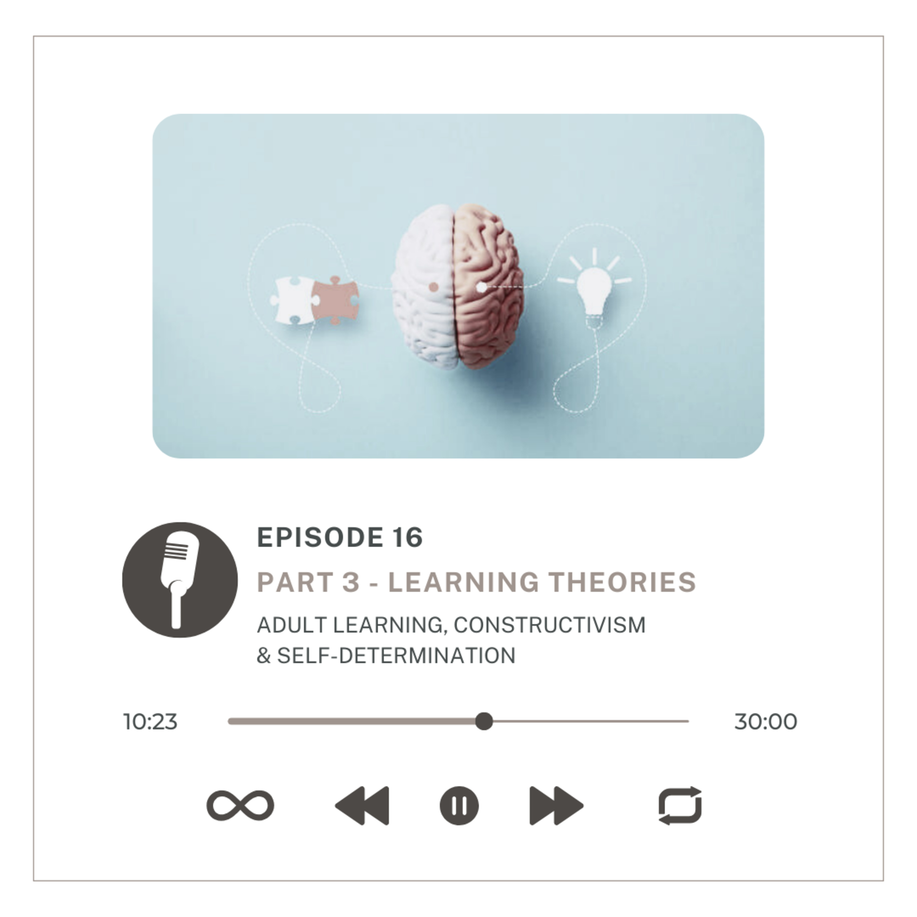 Learning Theories Part 3 : Adult Learning, Constructivism & Self-Determination Theory