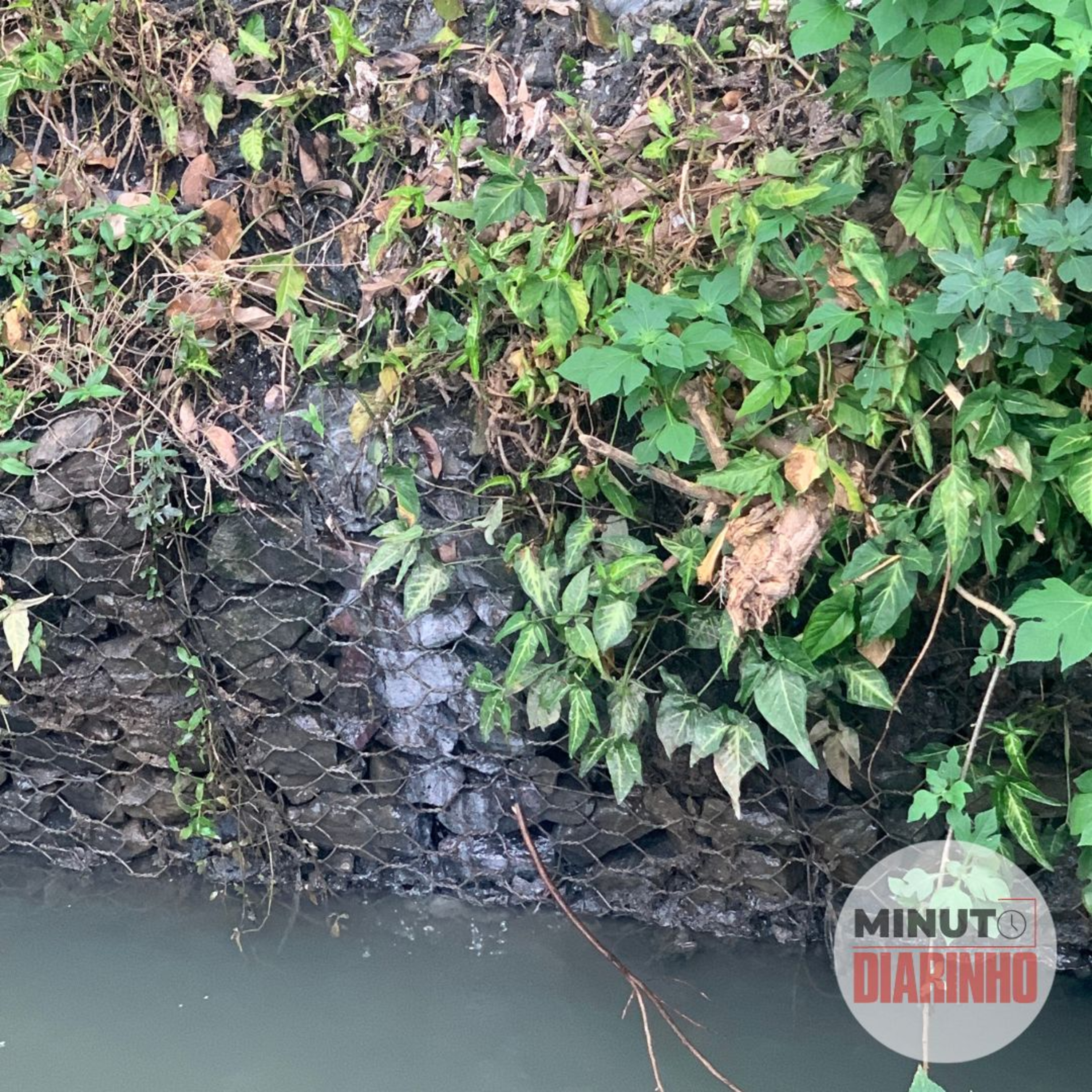 Esgoto despejado em ribeirão, PF incinera drogas e mais episode artwork