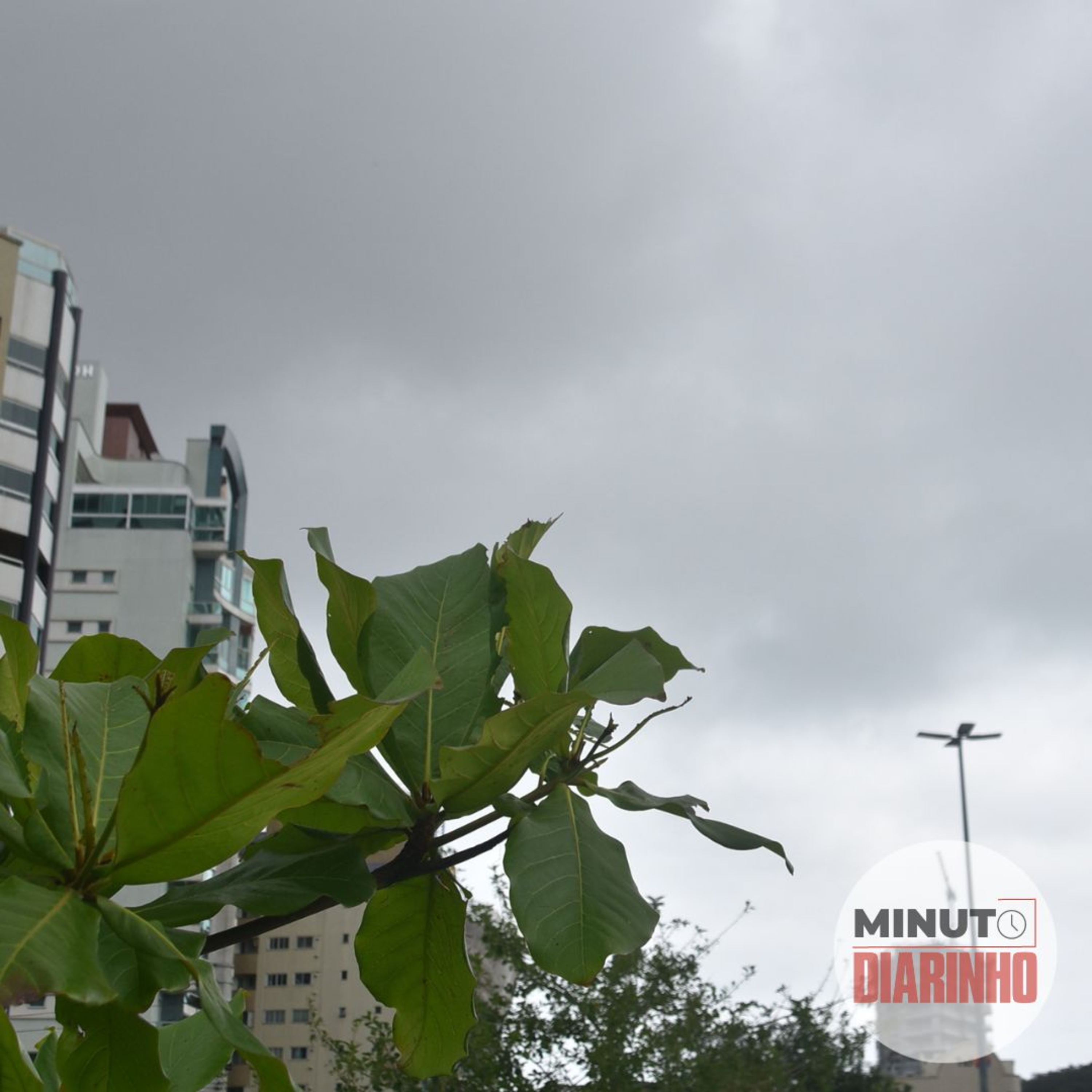 Defesa Civil alerta para chuva intensa  episode artwork