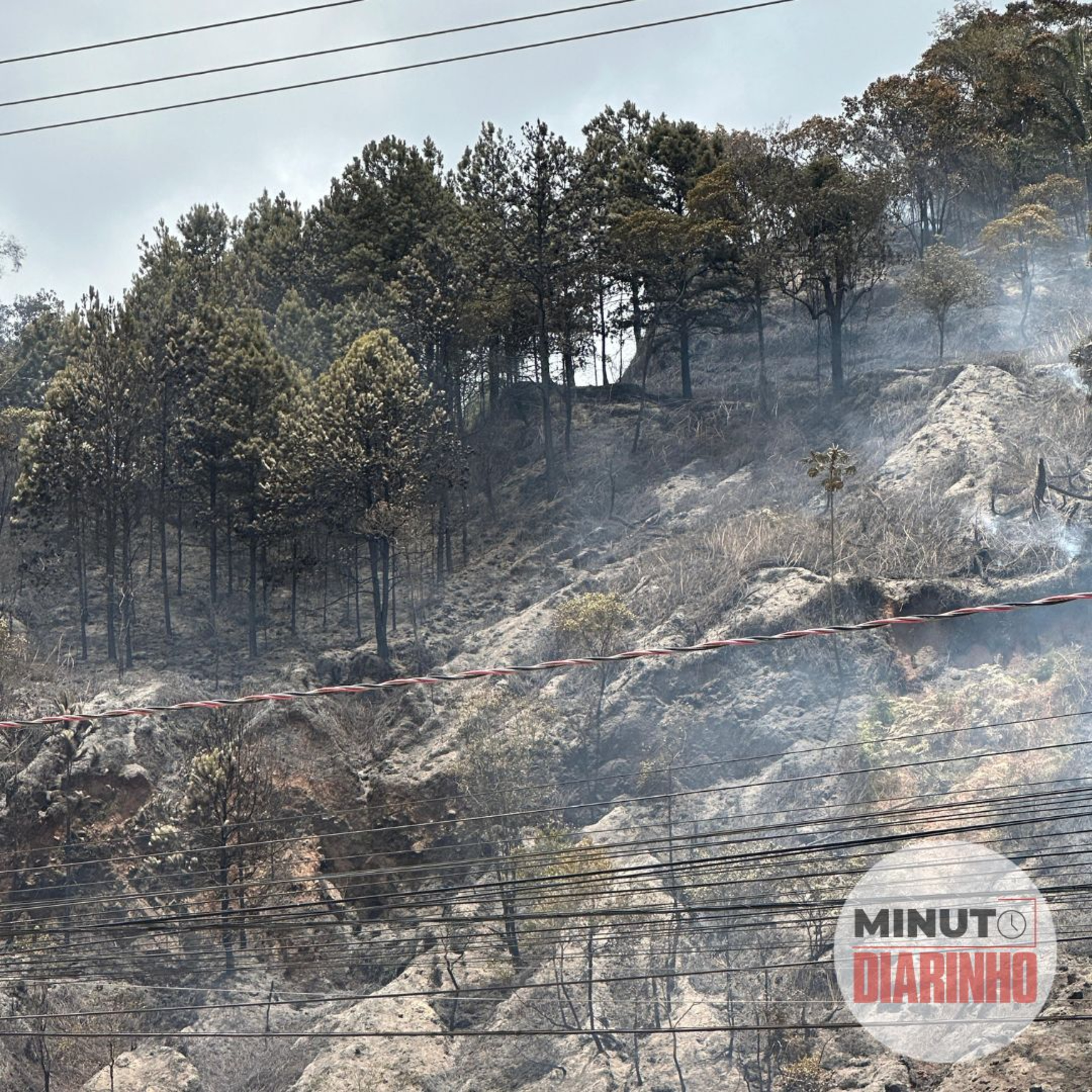 Incêndio queimou mais de 5 mil metros quadrados de mata em Camboriú episode artwork