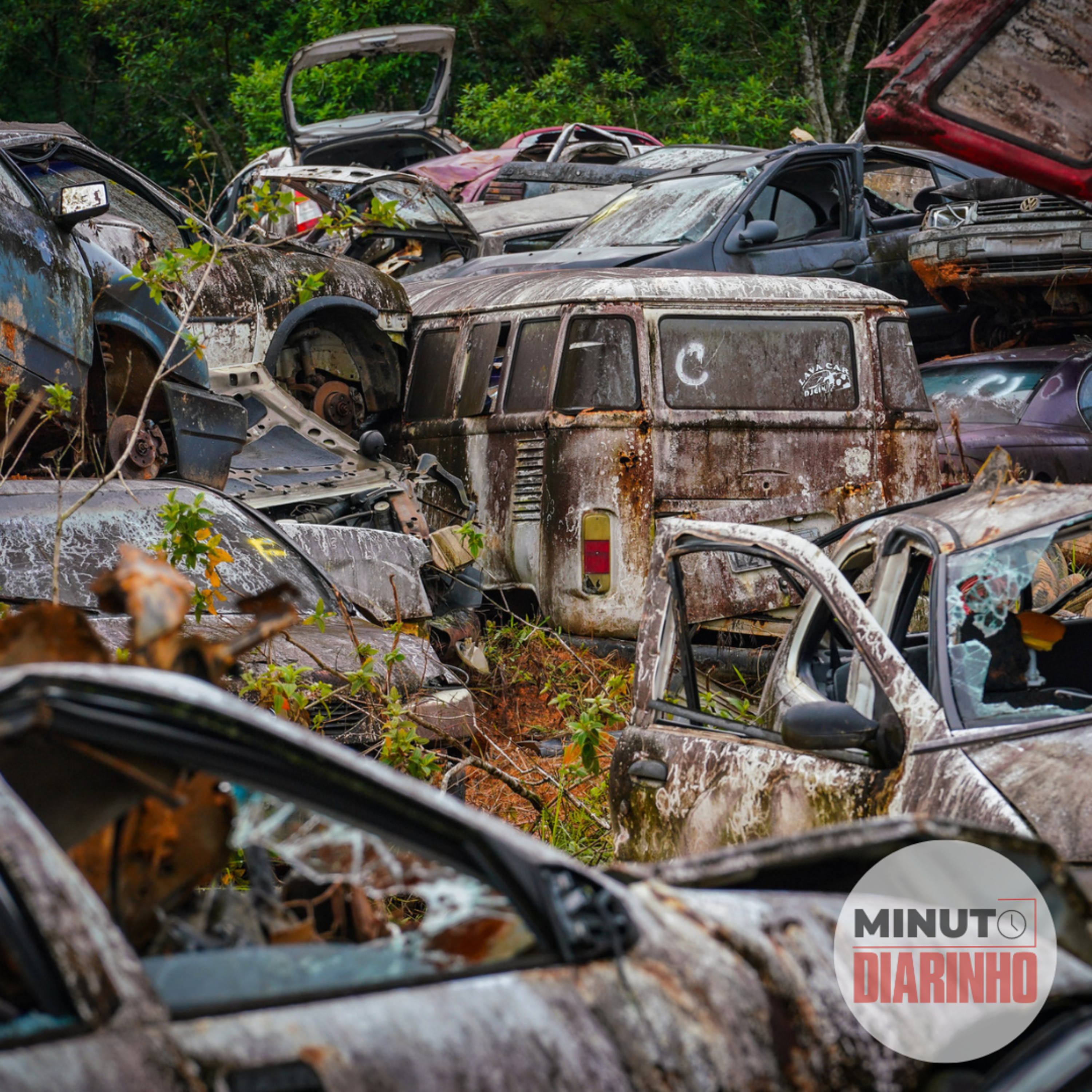 Leilão de carros apreendidos em Santa Catarina deve ser mais agilizado episode artwork