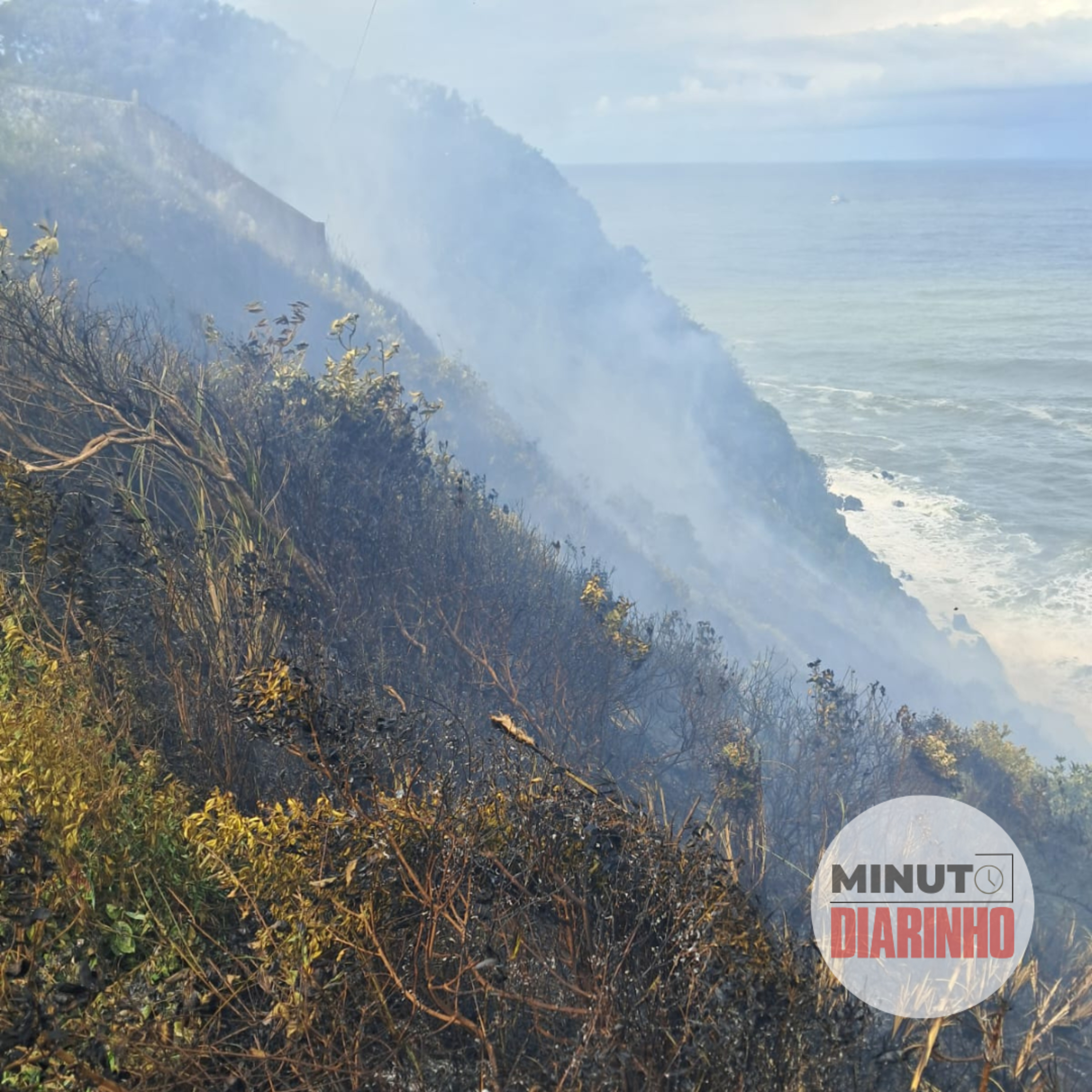 Incêndio destruiu área de 12,5 mil m² na Morraria de Cabeçudas episode artwork