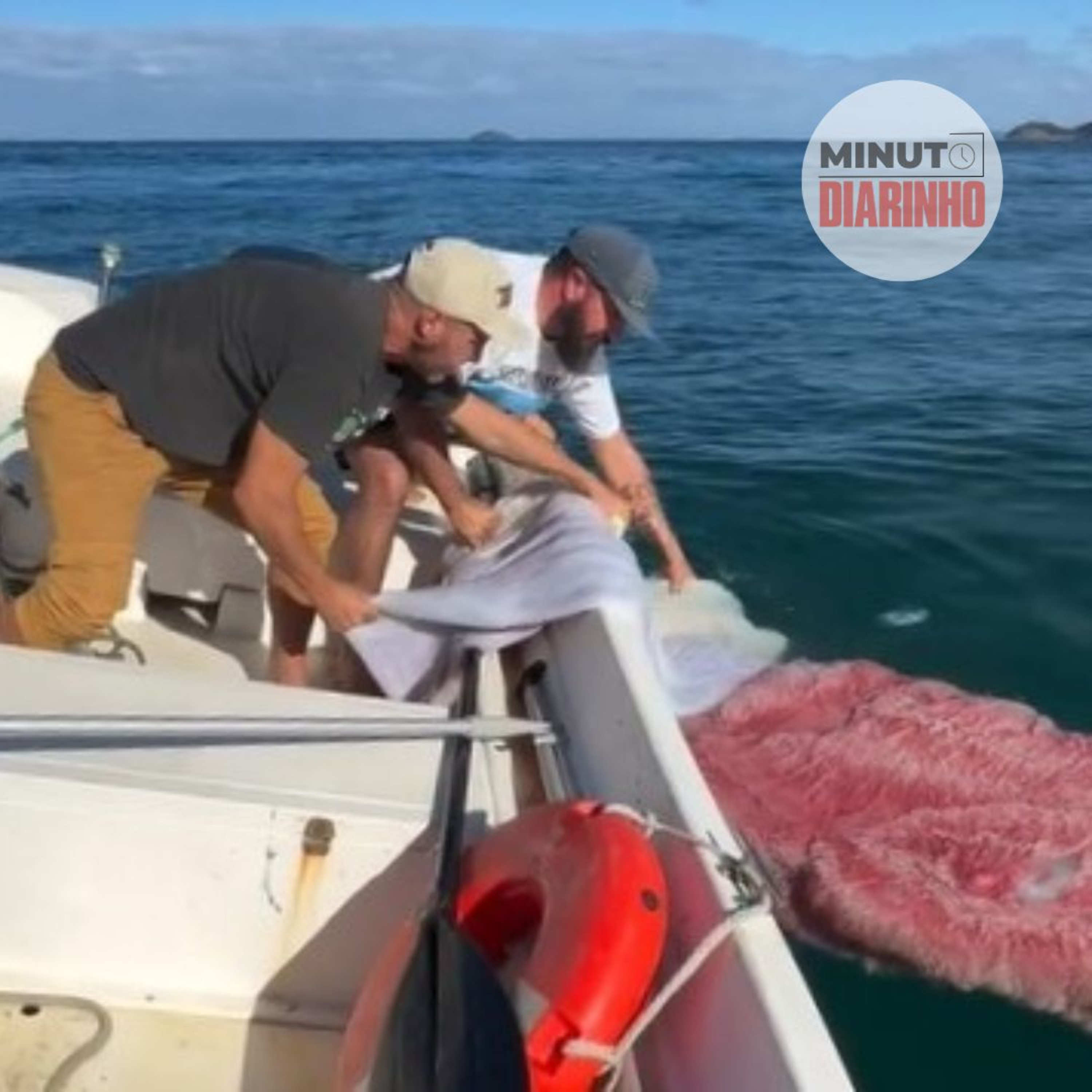 Pescadores encontram placenta de baleia em registro inédito em SC  episode artwork
