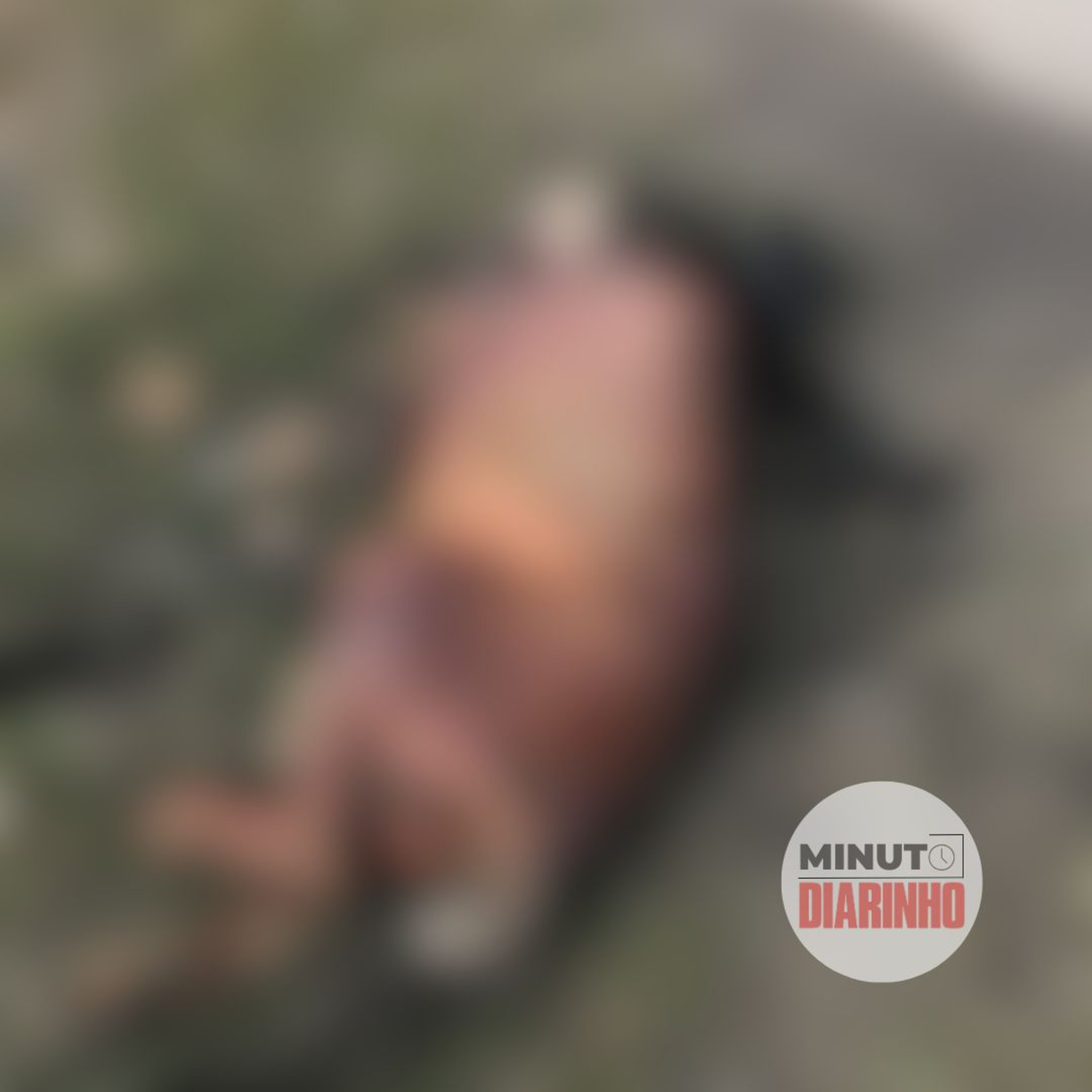 Polícia quer identificar quem matou cachorro queimado em Itapema episode artwork