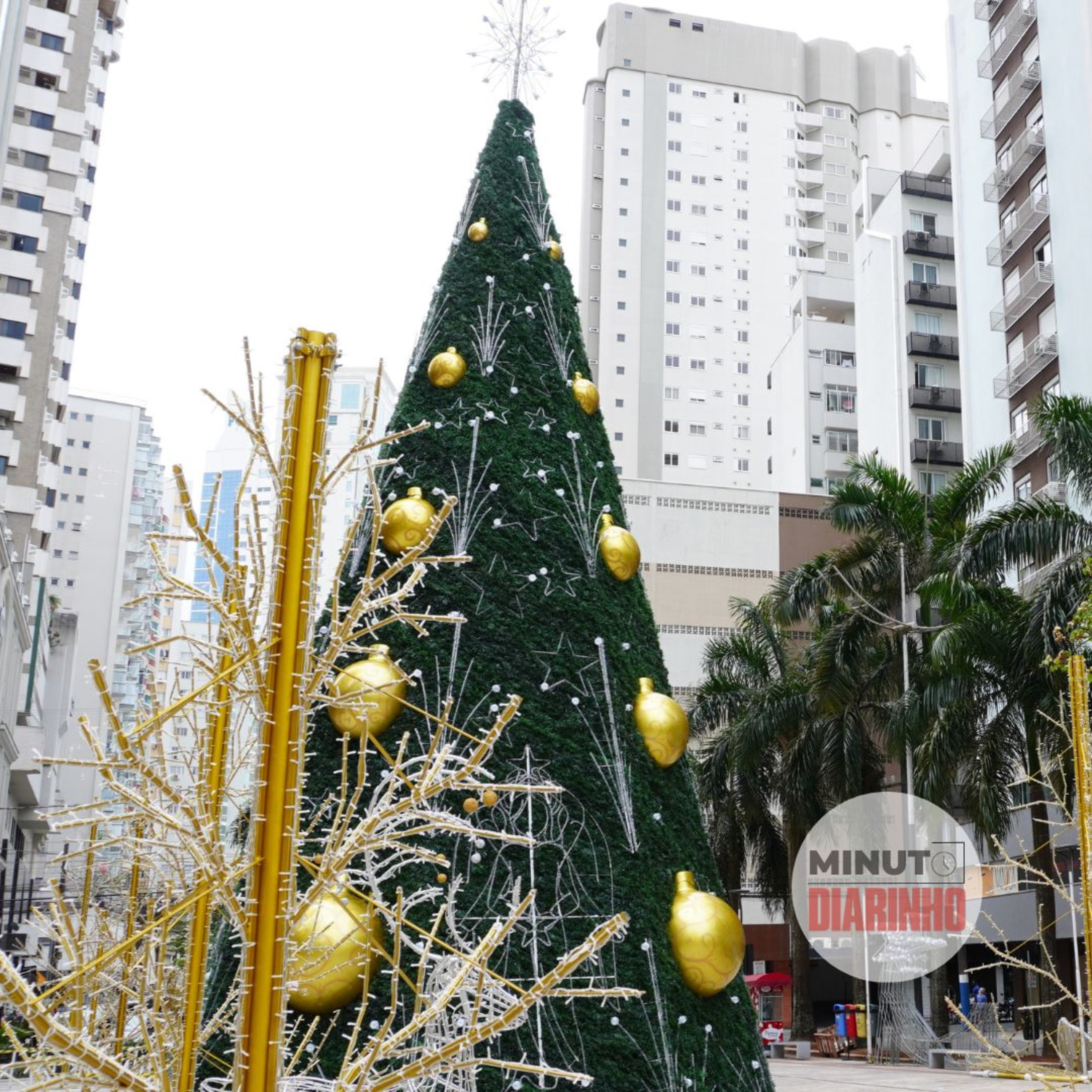 BC e Navega buscam patrocinadores para festas milionárias de Natal episode artwork