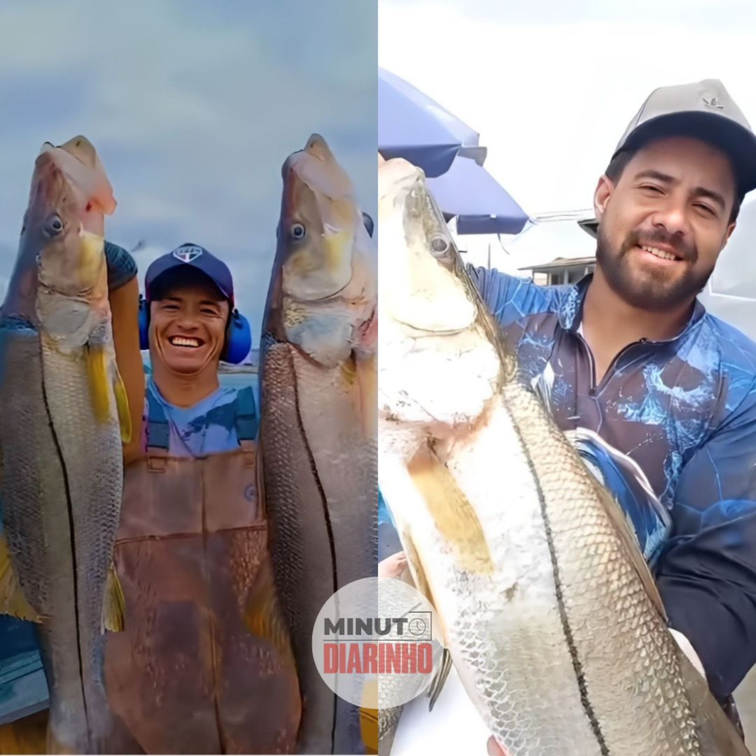 Robalos de lombo grande são capturados no litoral episode artwork
