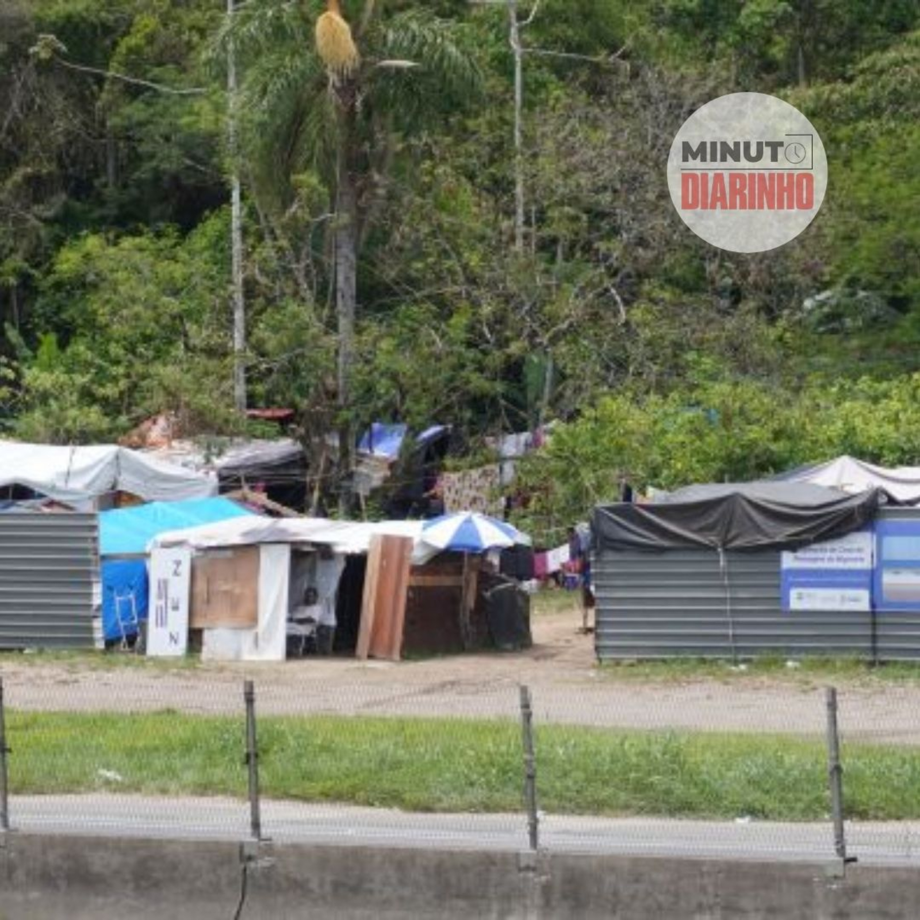Justiça manda BC garantir abrigo a indígenas no verão episode artwork
