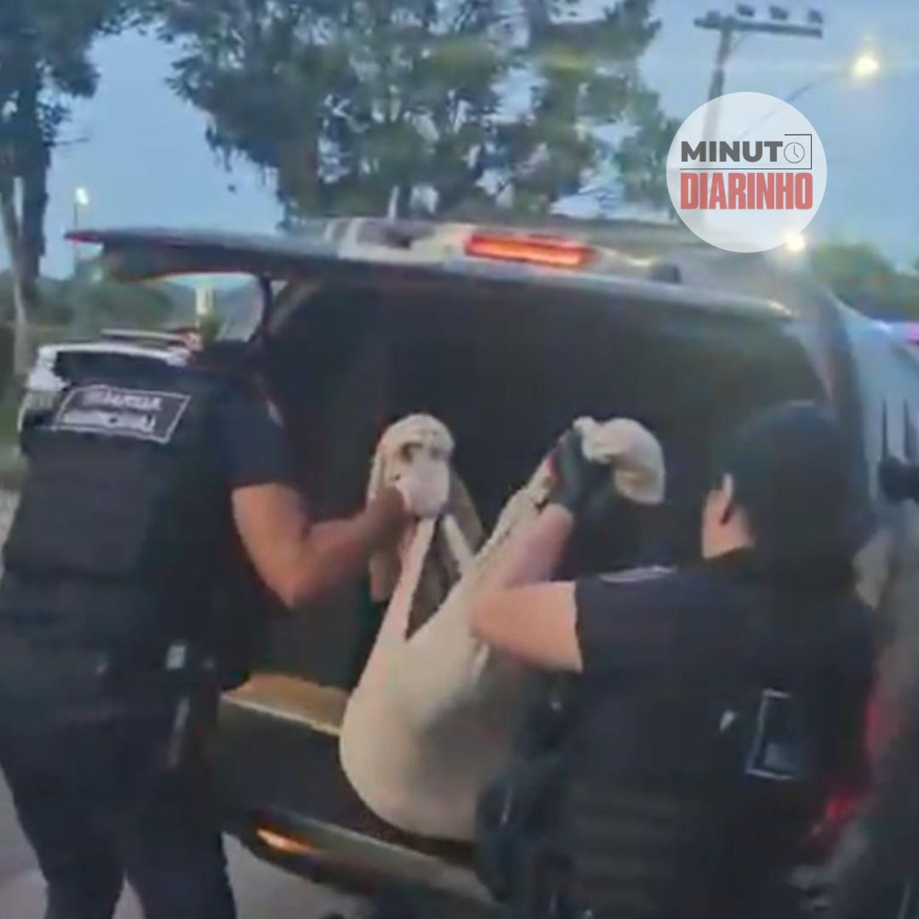 Suspeito de ajudar a matar cachorro em Itajaí vai para a cadeia episode artwork