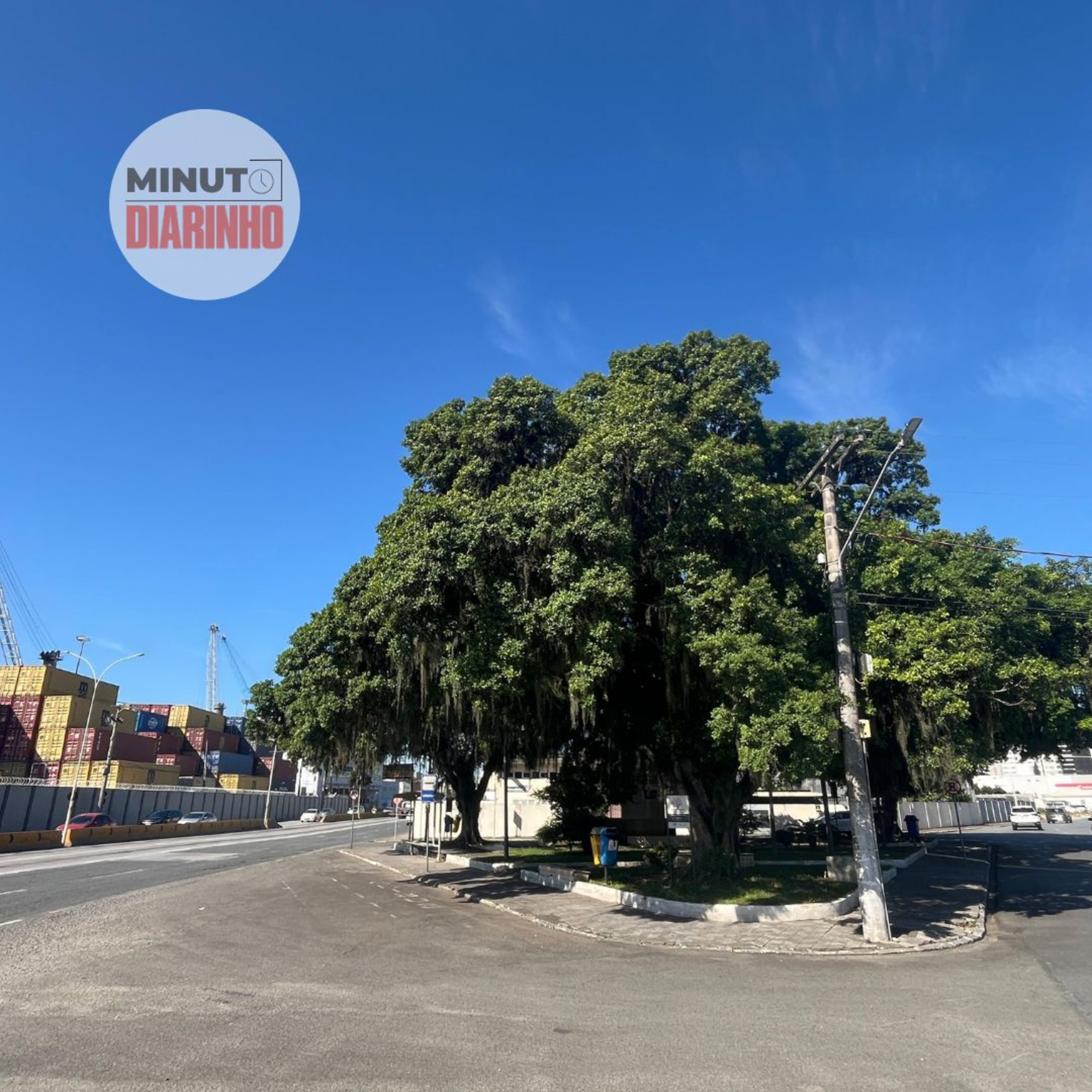 Qual será o futuro de praça com figueiras gigantes em frente ao porto? episode artwork