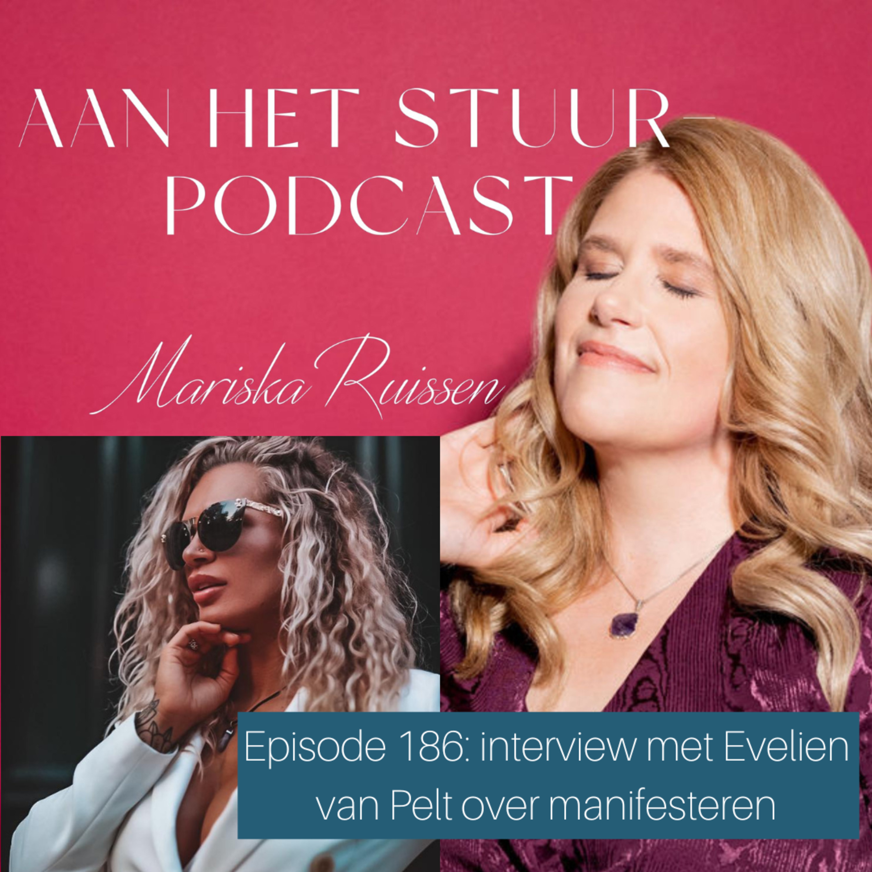 Episode 186: interview met Evelien van Pelt over diepe dalen en hoge pieken en groots manifesteren episode artwork