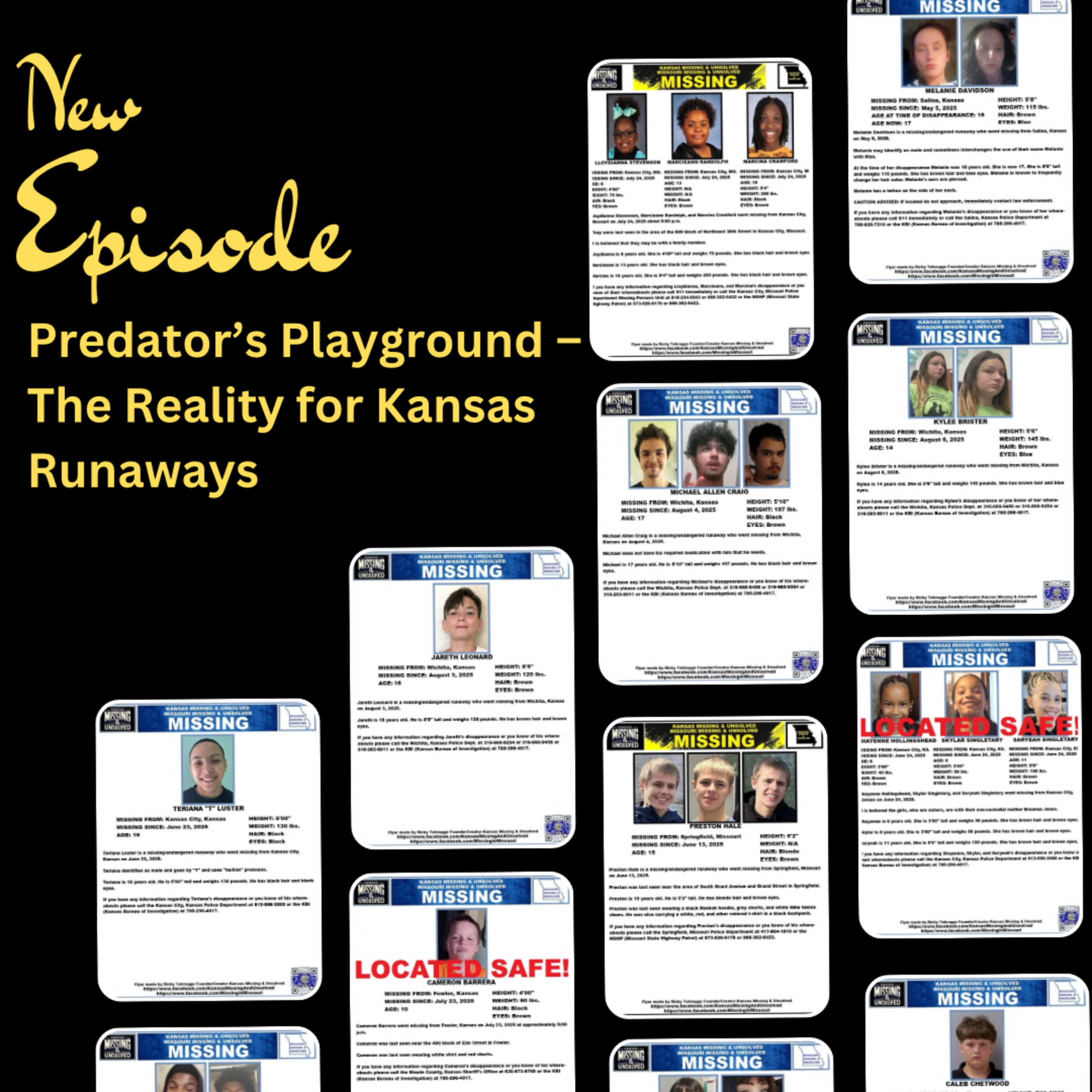 Cold Case Kansas: A Social Detective Podcast