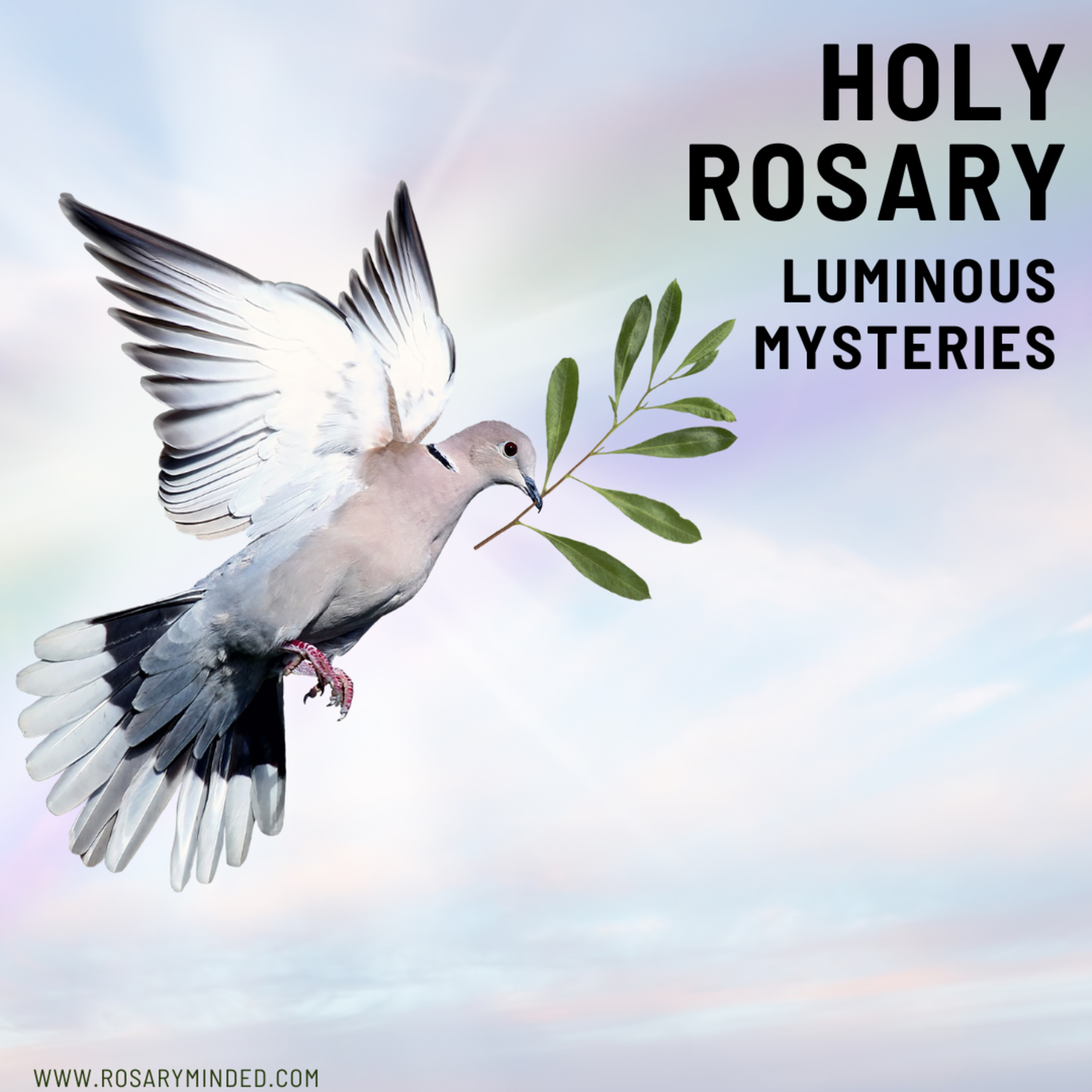 Today's Rosary -- LUMINOUS MYSTERIES (July 11)