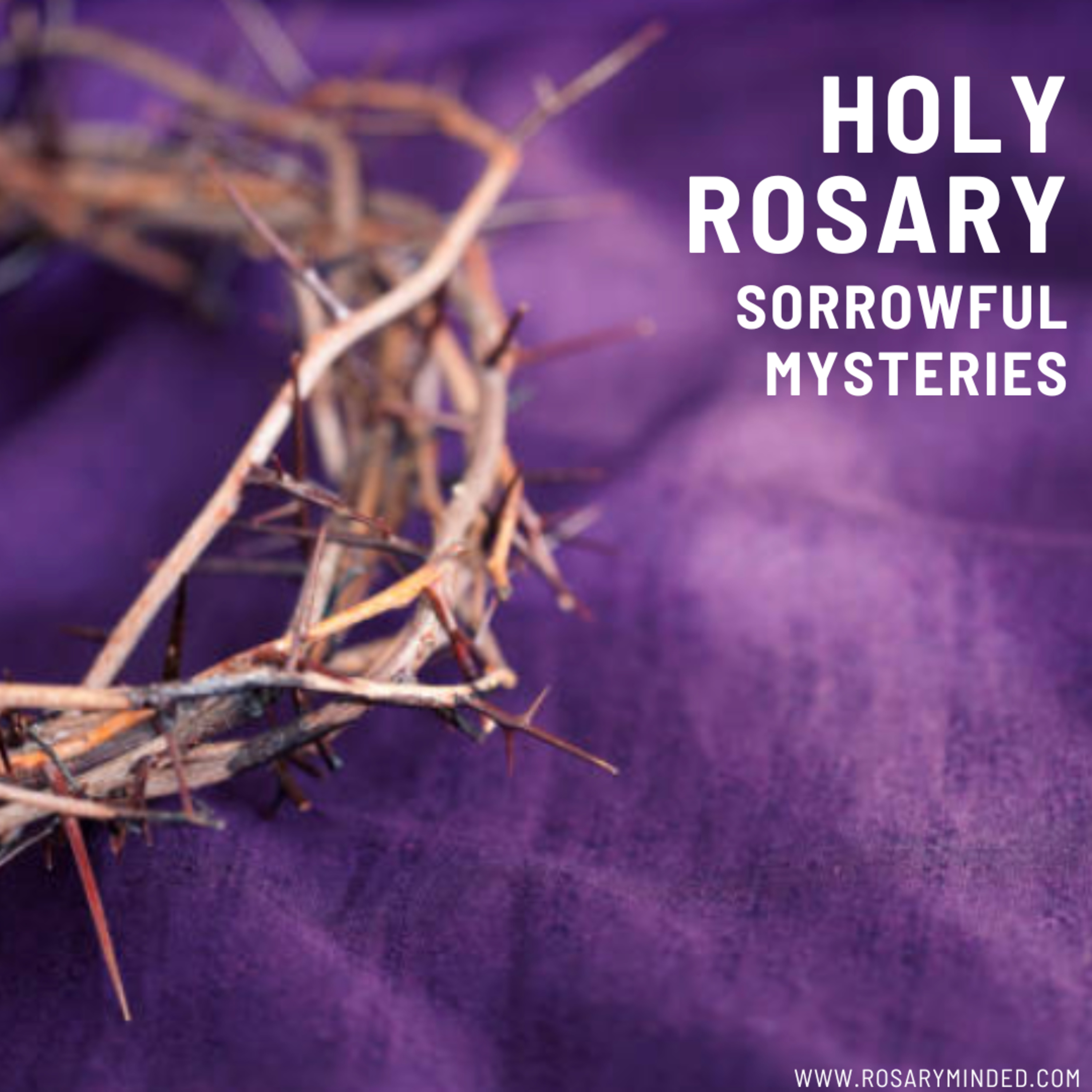 Today's Rosary -- SORROWFUL MYSTERIES Tuesday (August 5)