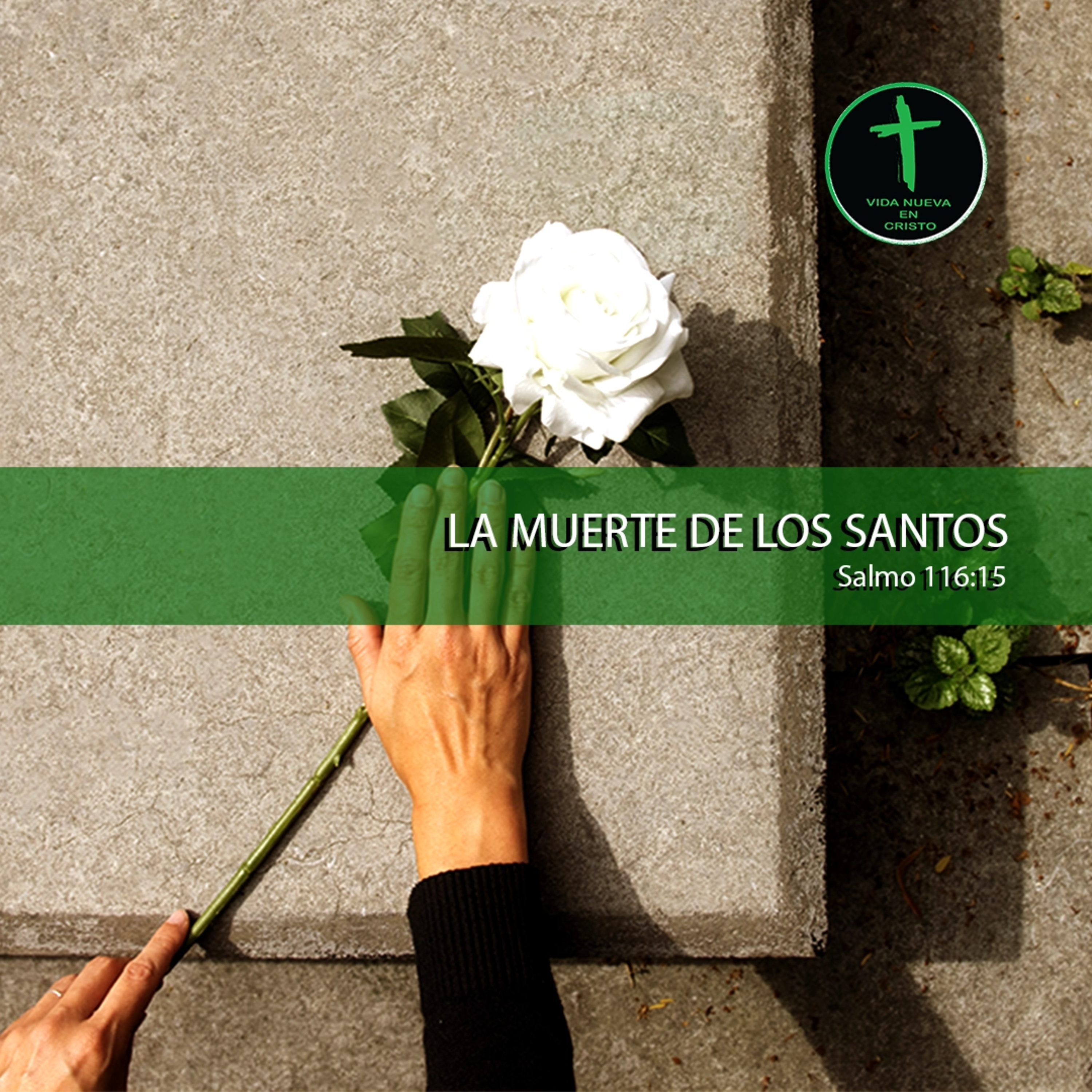 Vida Nueva En Cristo México