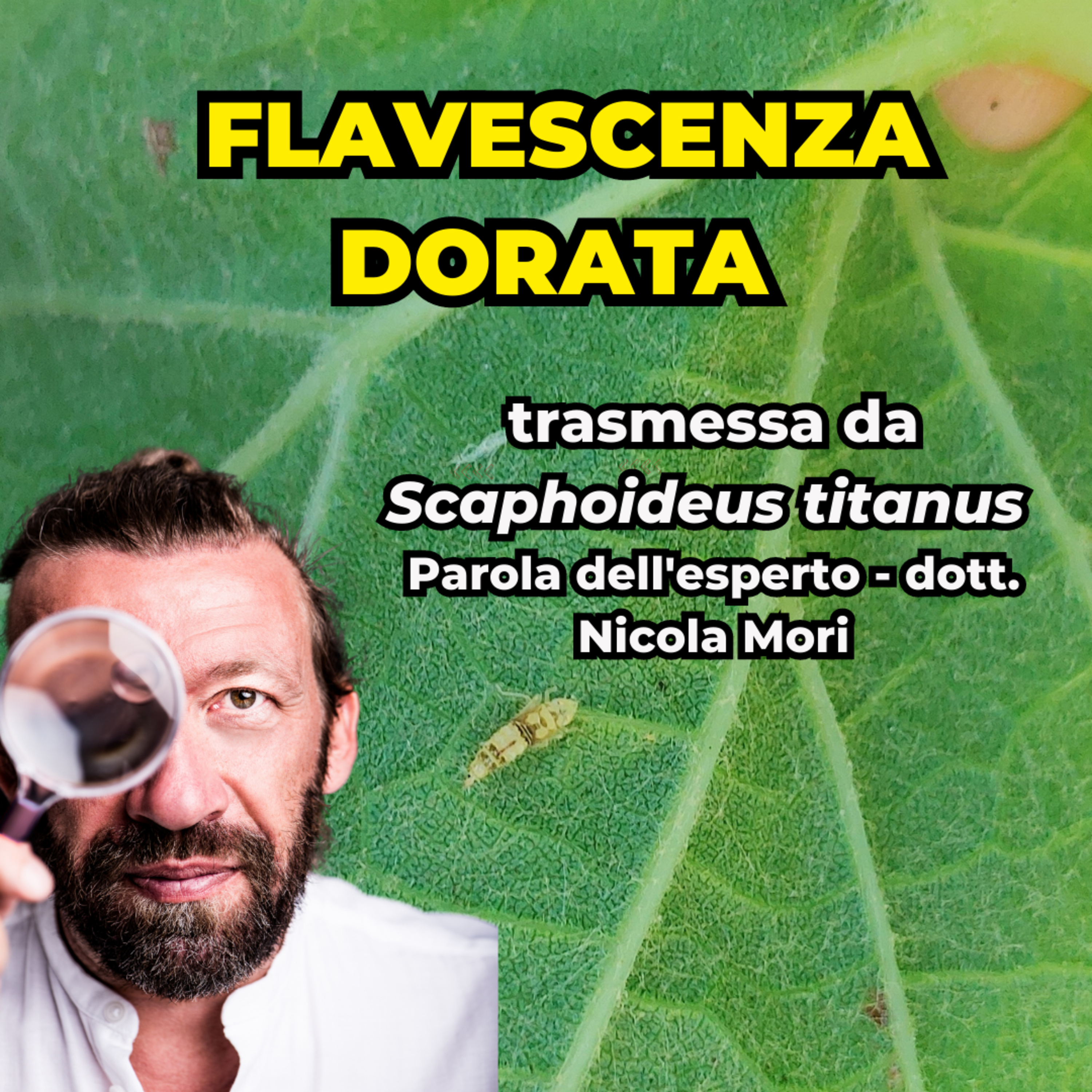 Conversazioni sulla Viticoltura Italiana con Giovanni Bigot
