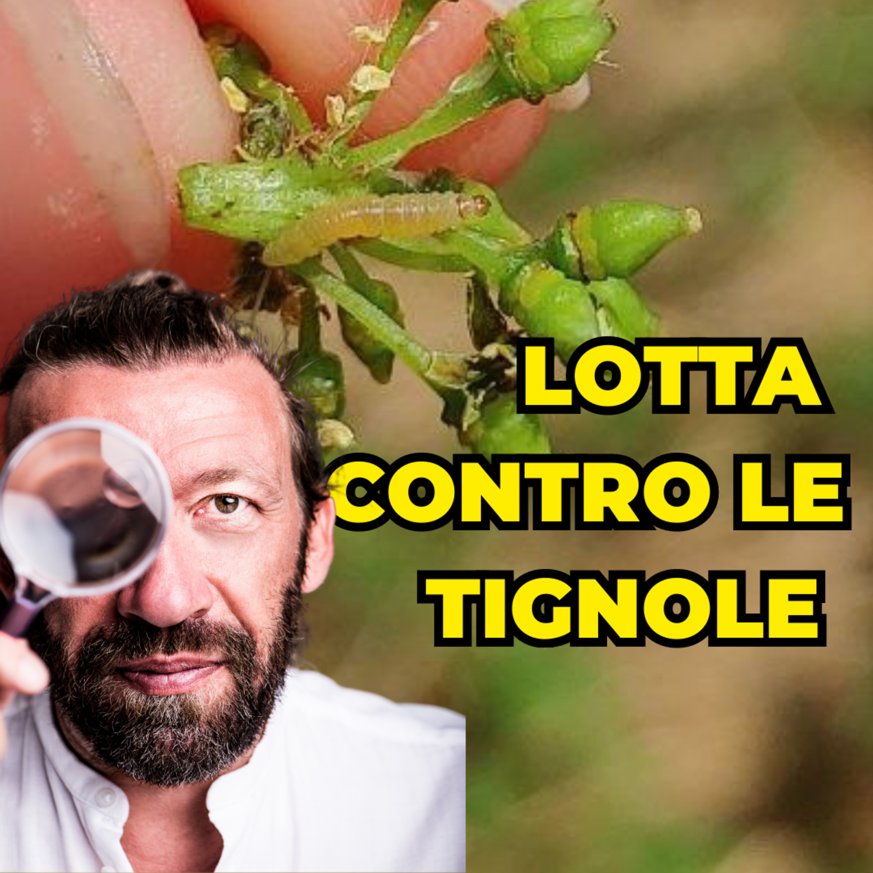 Conversazioni sulla Viticoltura Italiana con Giovanni Bigot