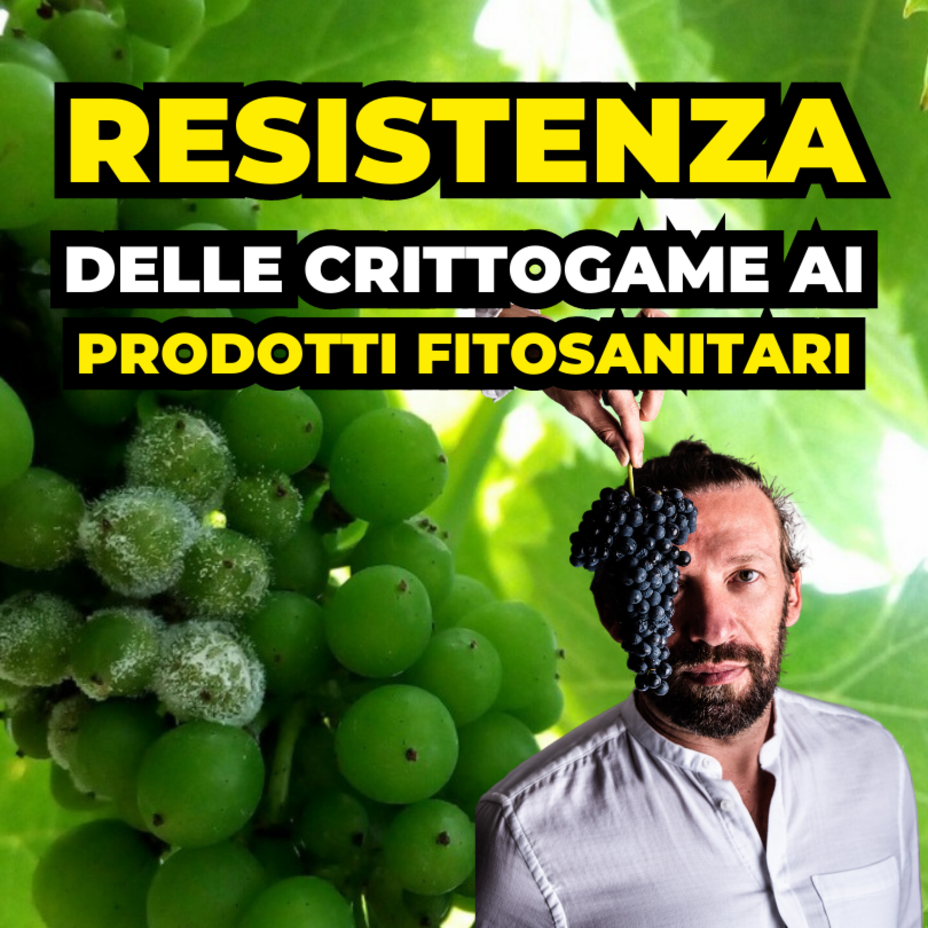 Conversazioni sulla Viticoltura Italiana con Giovanni Bigot