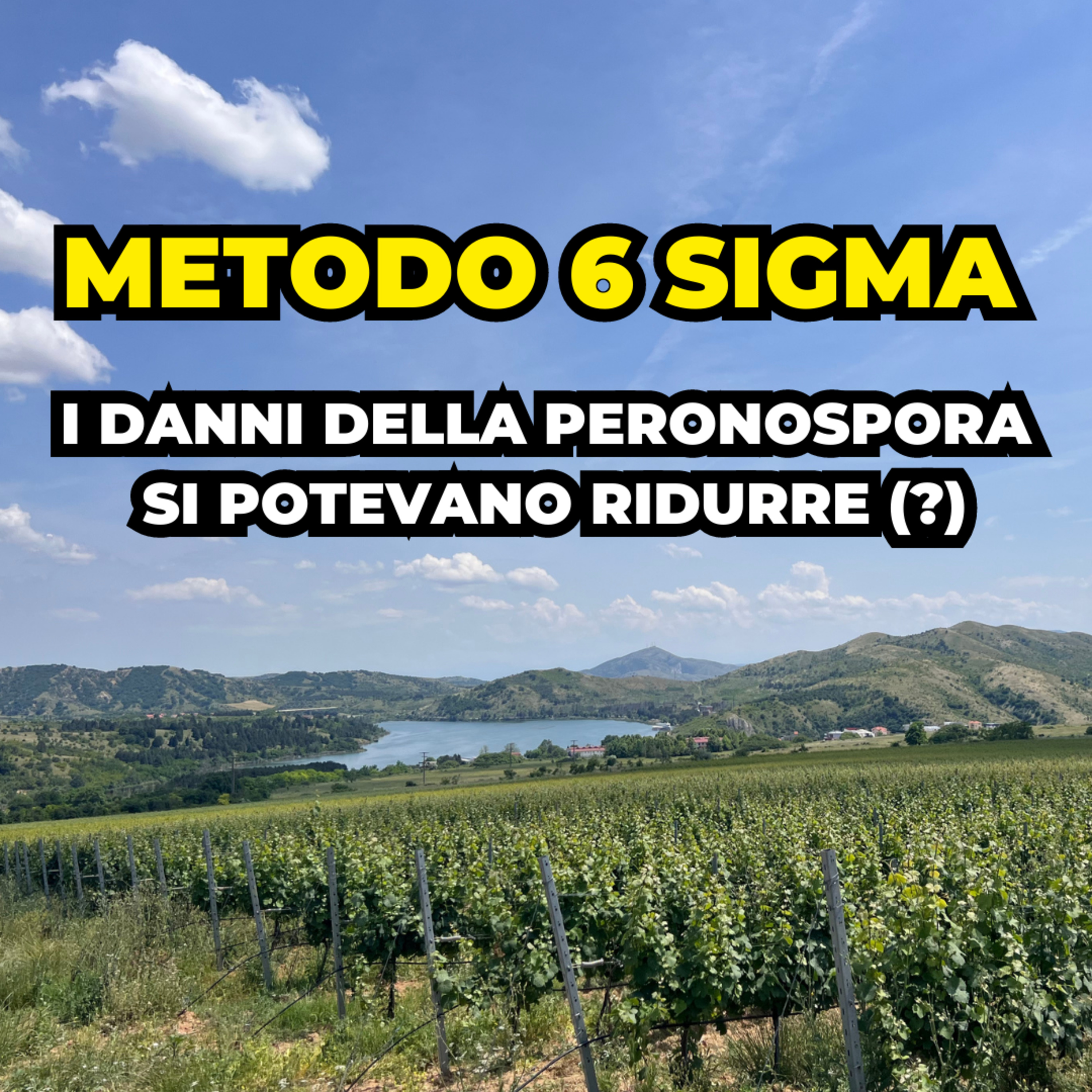Conversazioni sulla Viticoltura Italiana con Giovanni Bigot