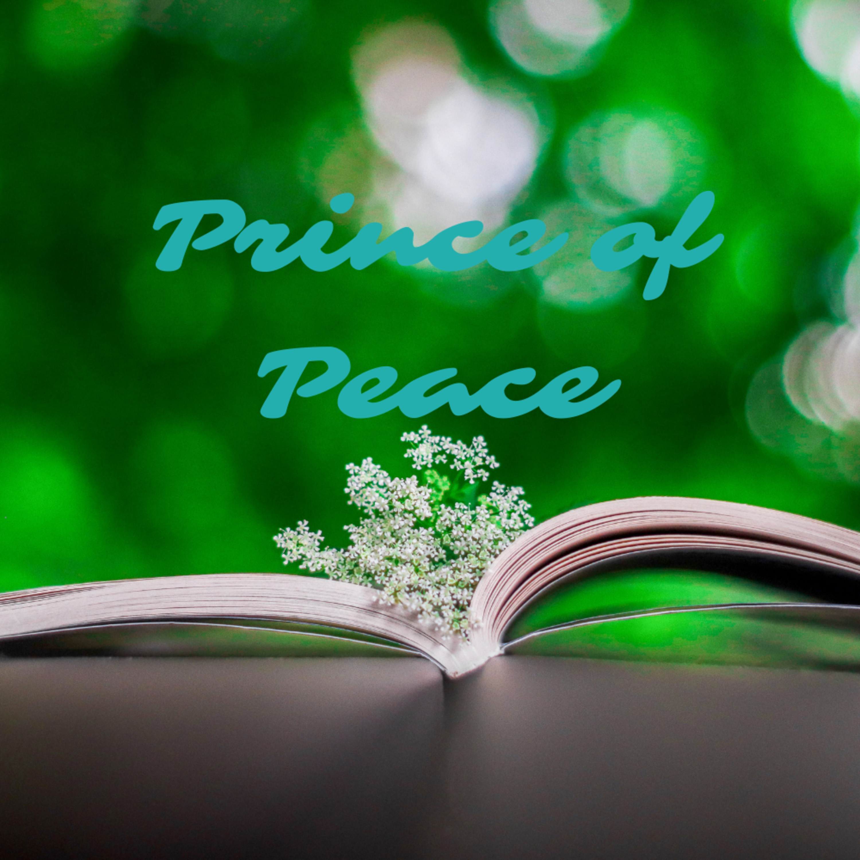 Prince of Peace episode artwork