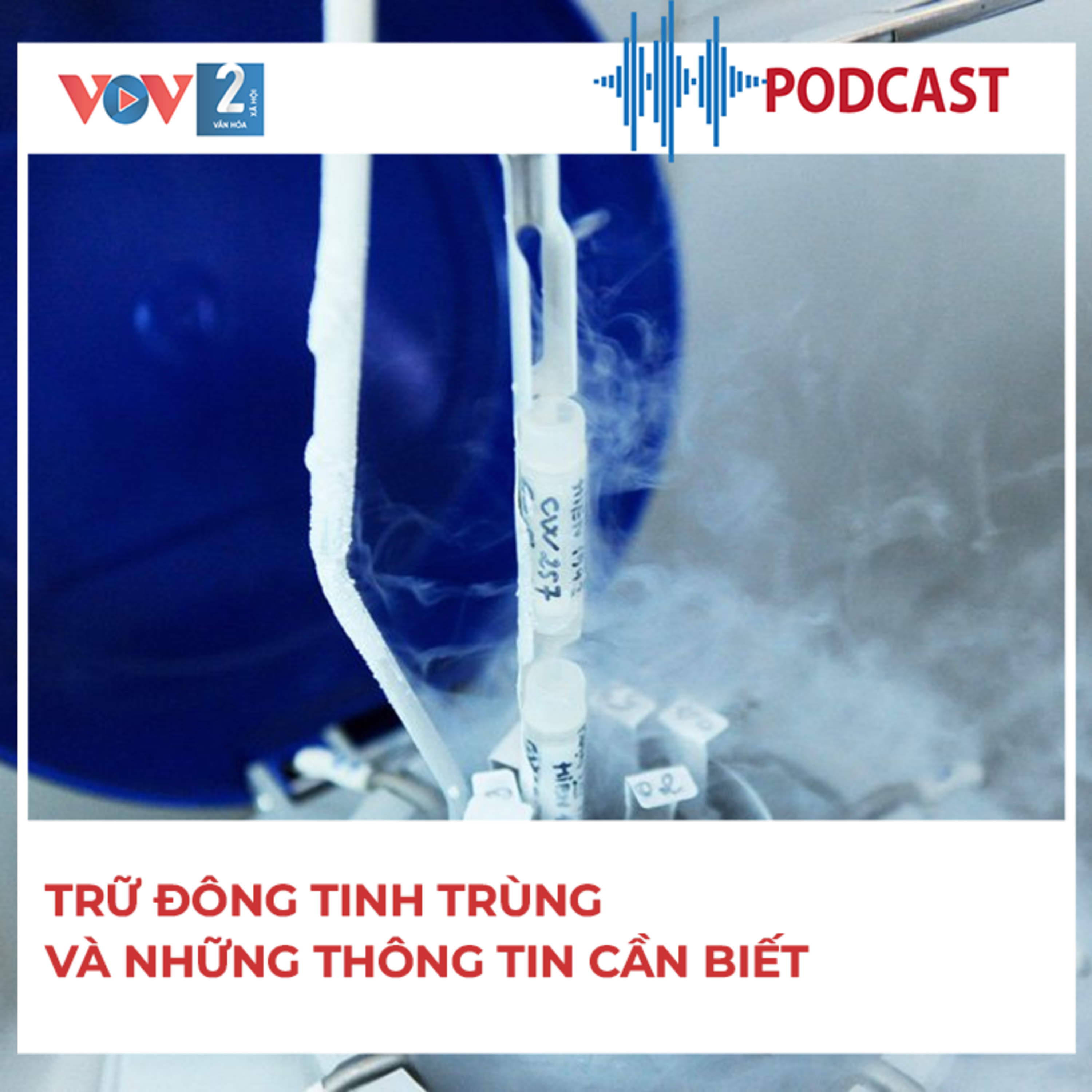 Trữ đông tinh trùng và những thông tin cần biết