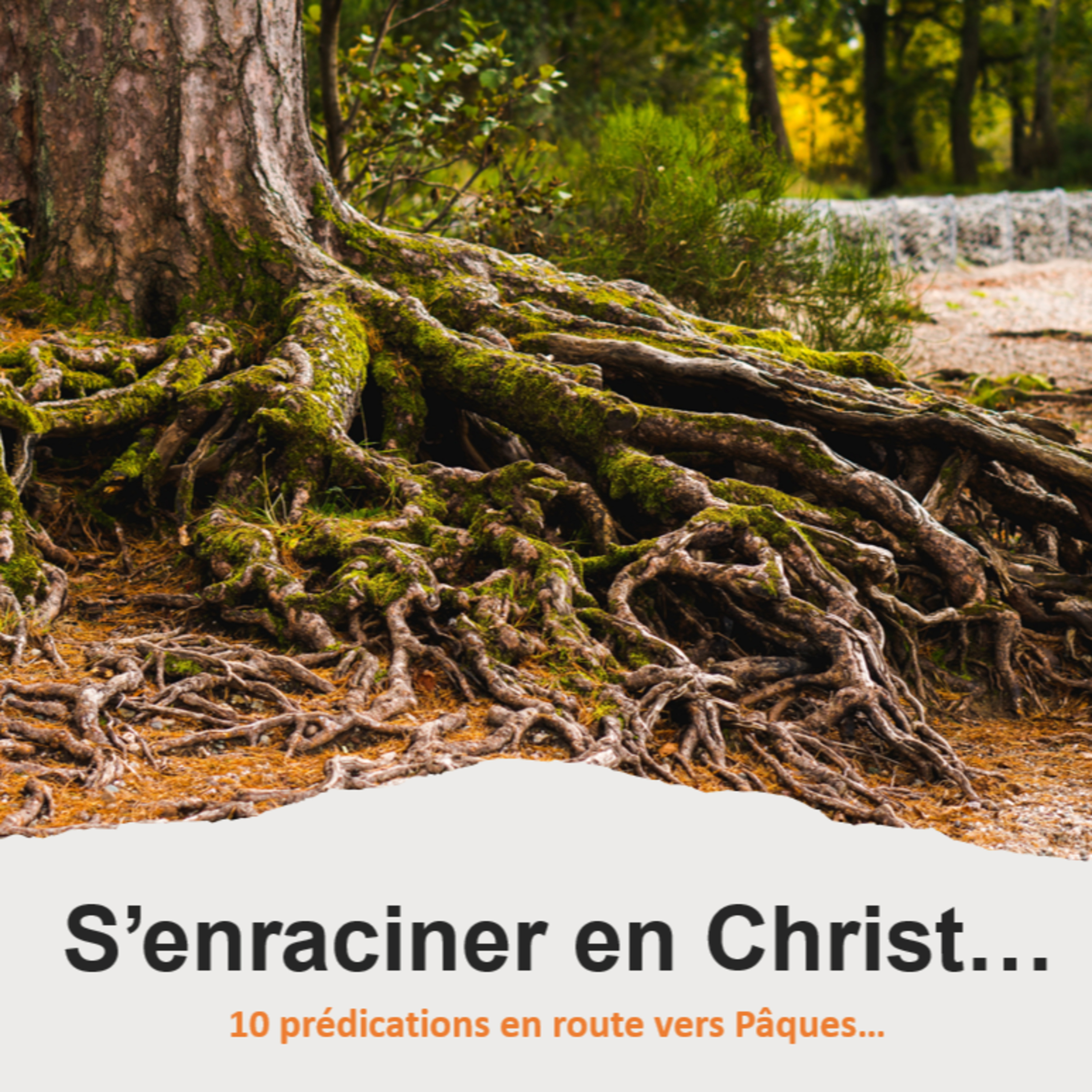 Eglise Protestante Evangélique de Wavre - EPEW