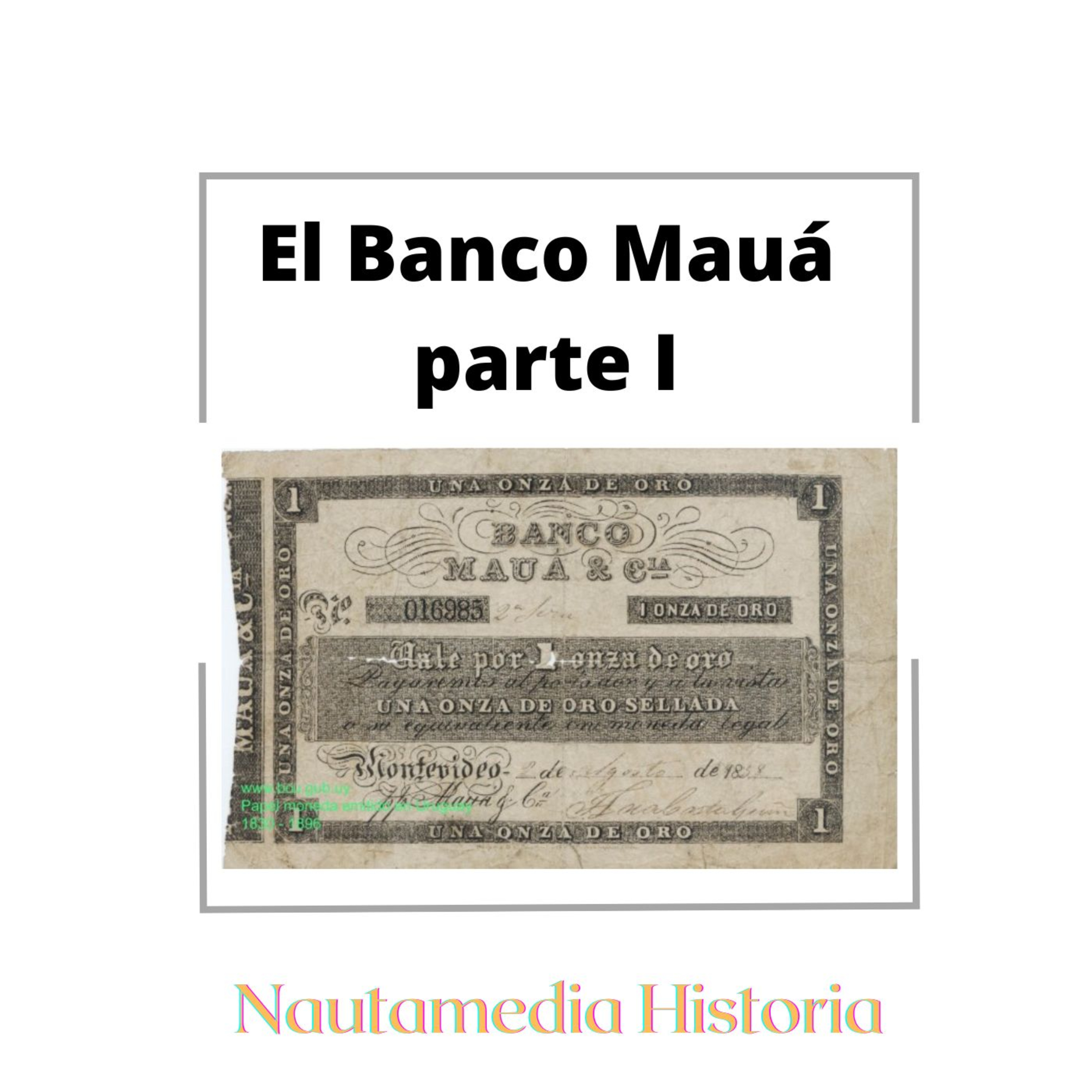 Nautamedia Historia